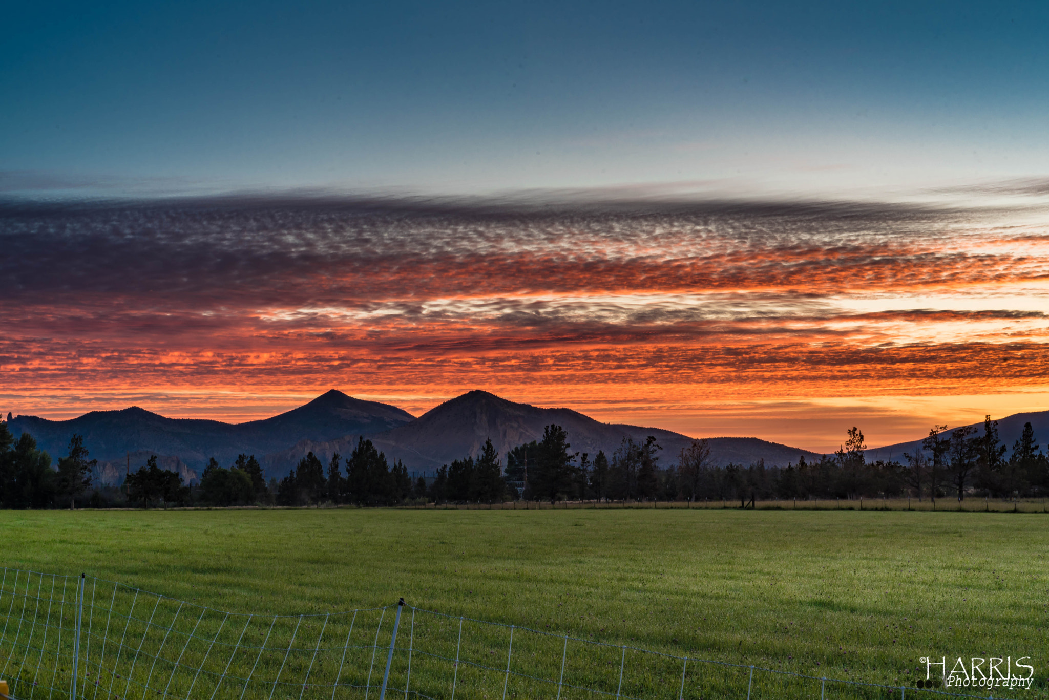 Nikon AF Micro-Nikkor 60mm F2.8D sample photo. Terrebonne, oregon farmland photography