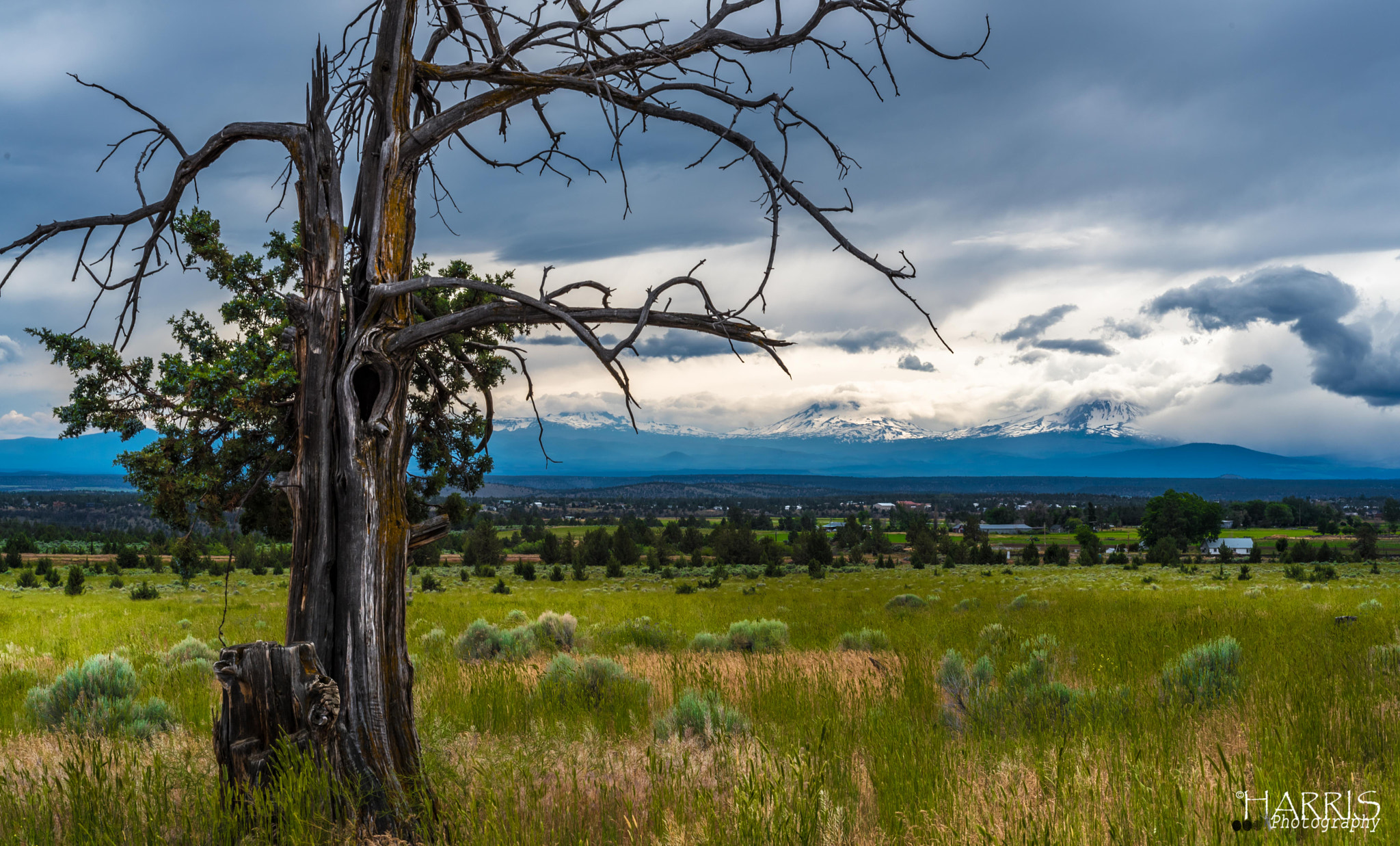 Nikon AF Micro-Nikkor 60mm F2.8D sample photo. Sisters mountains photography