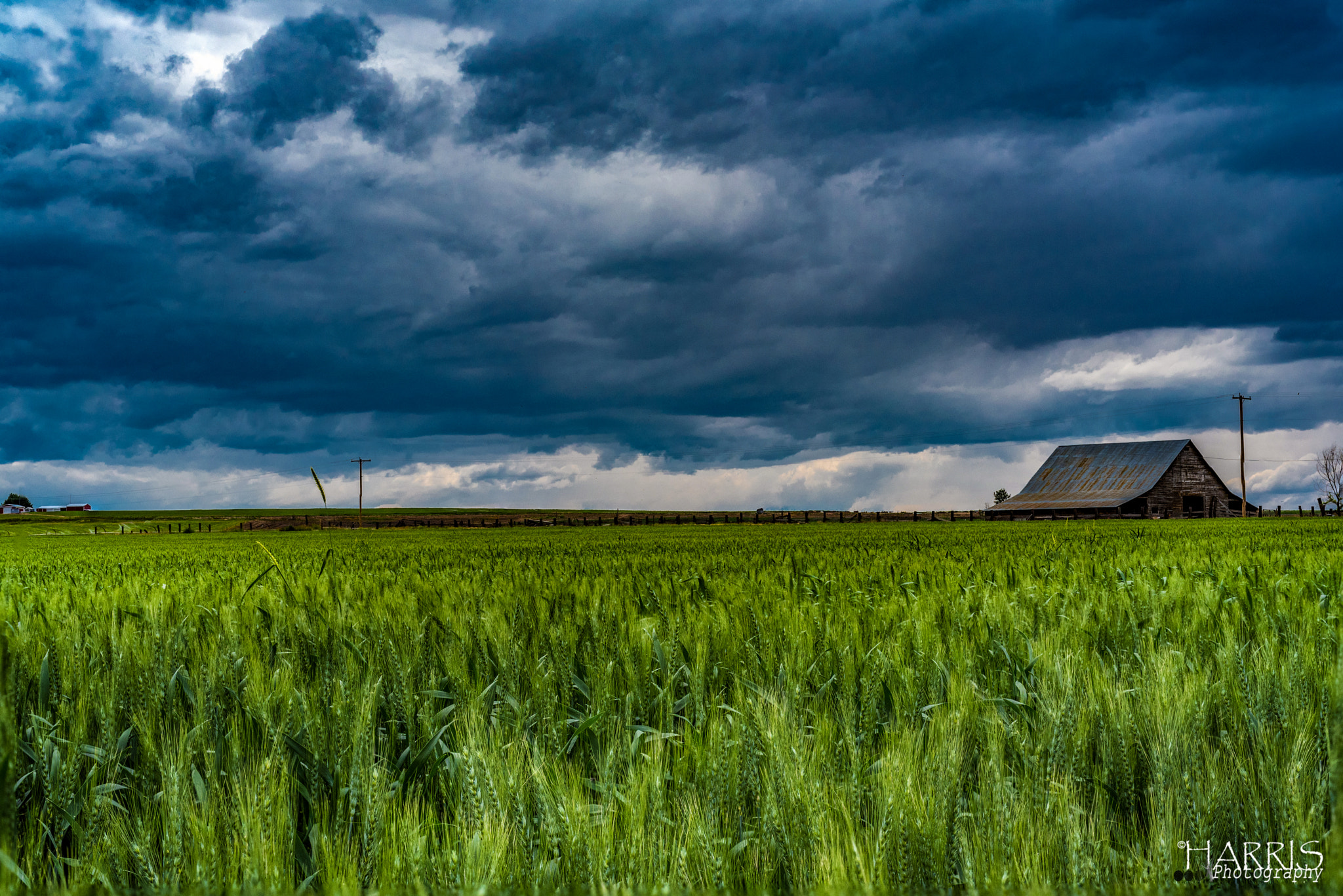 Nikon AF Micro-Nikkor 60mm F2.8D sample photo. Culver, oregon farm photography