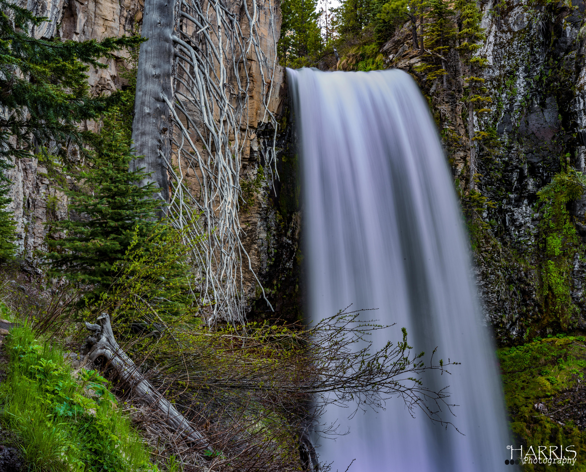 Nikon AF Micro-Nikkor 60mm F2.8D sample photo. Tumalo falls photography