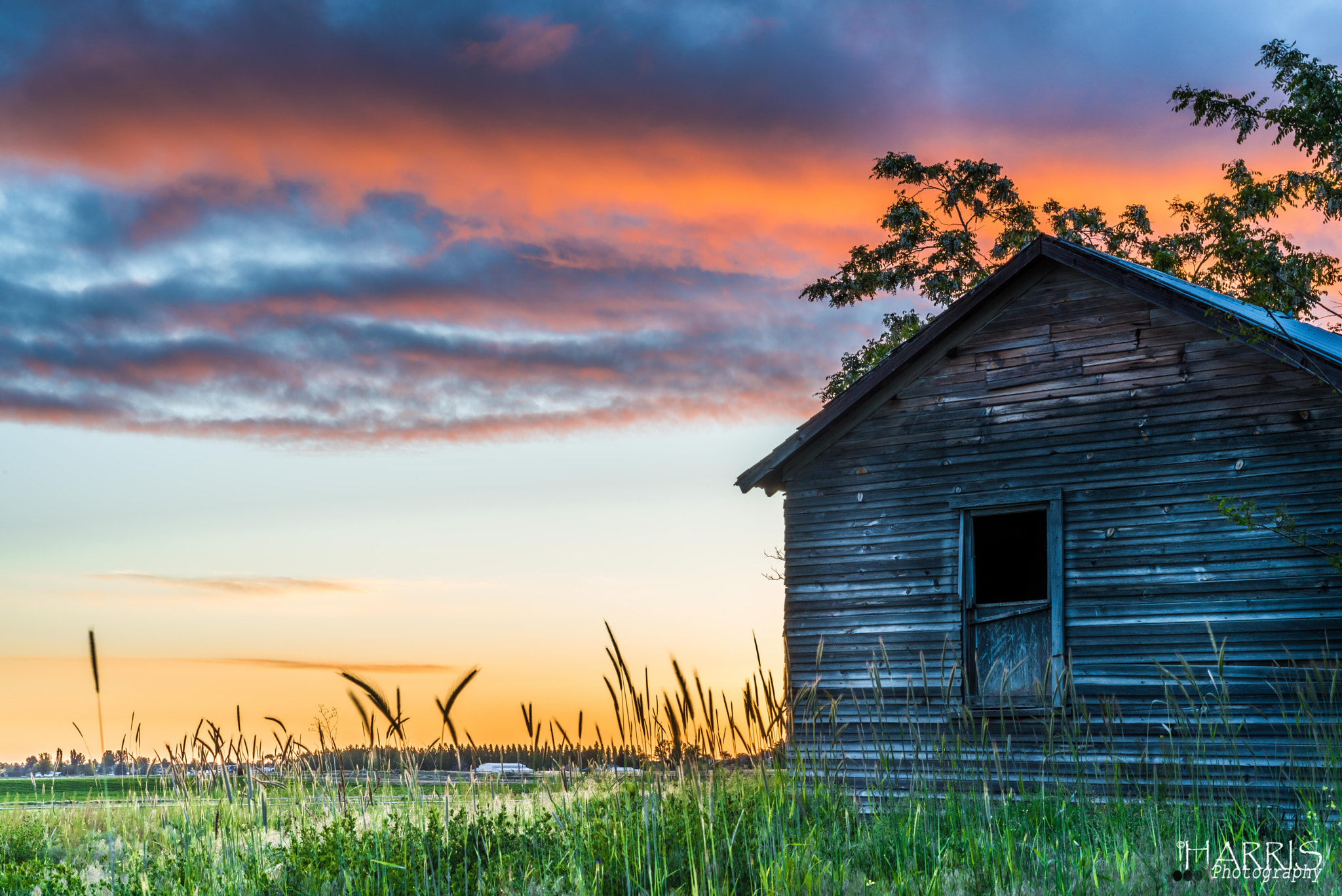Nikon AF Micro-Nikkor 60mm F2.8D sample photo. Culver, oregon old shack photography