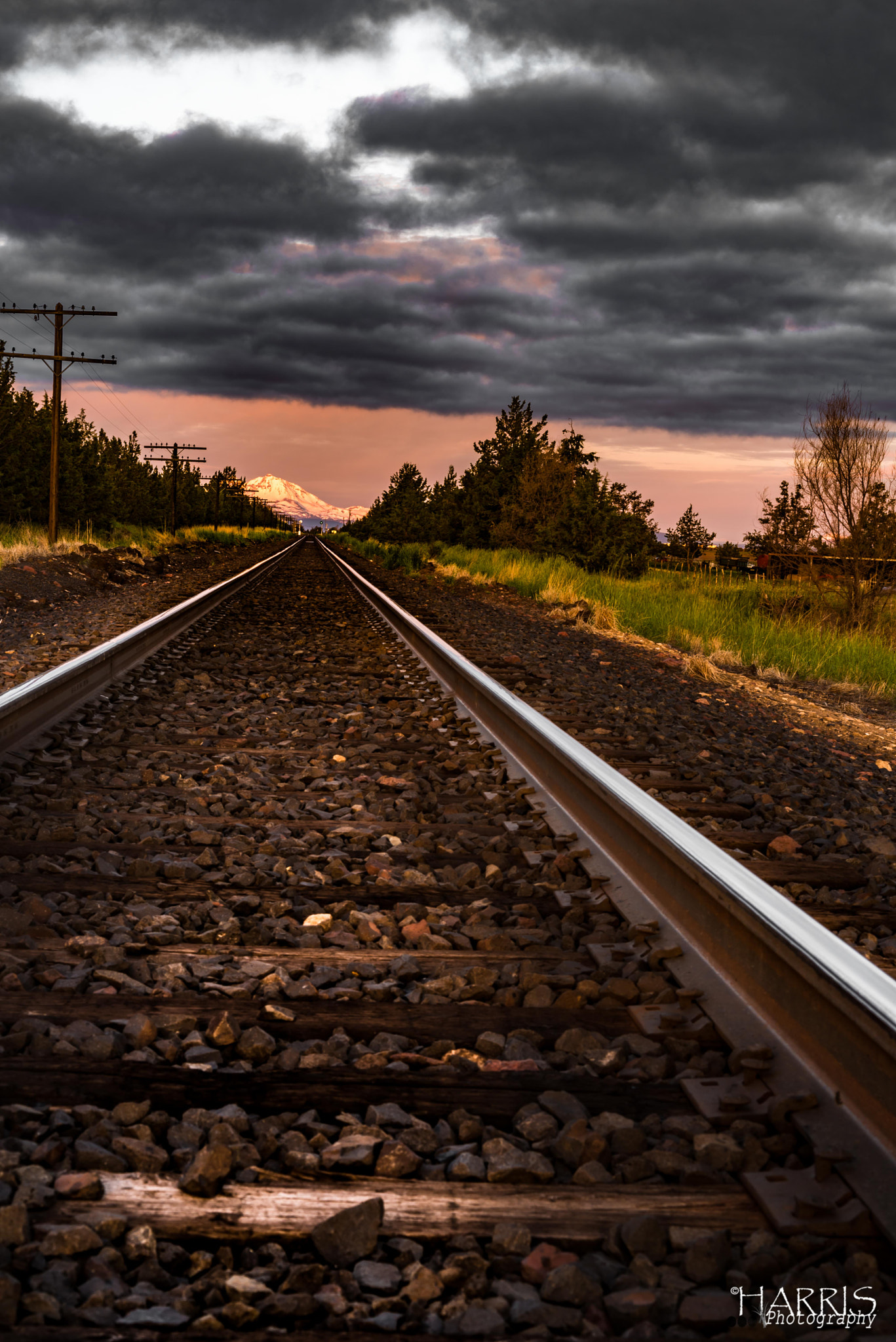 Nikon AF Micro-Nikkor 60mm F2.8D sample photo. Mt jefferson from the tracks photography