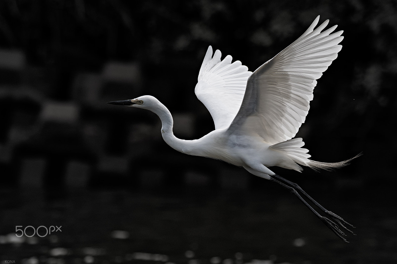 Nikon AF-S Nikkor 400mm F2.8G ED VR II sample photo. Sagi photography
