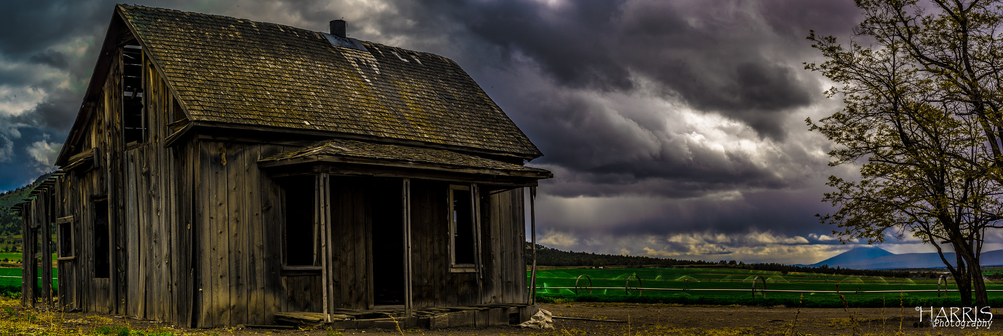Nikon AF Micro-Nikkor 60mm F2.8D sample photo. Culver, oregon homested photography