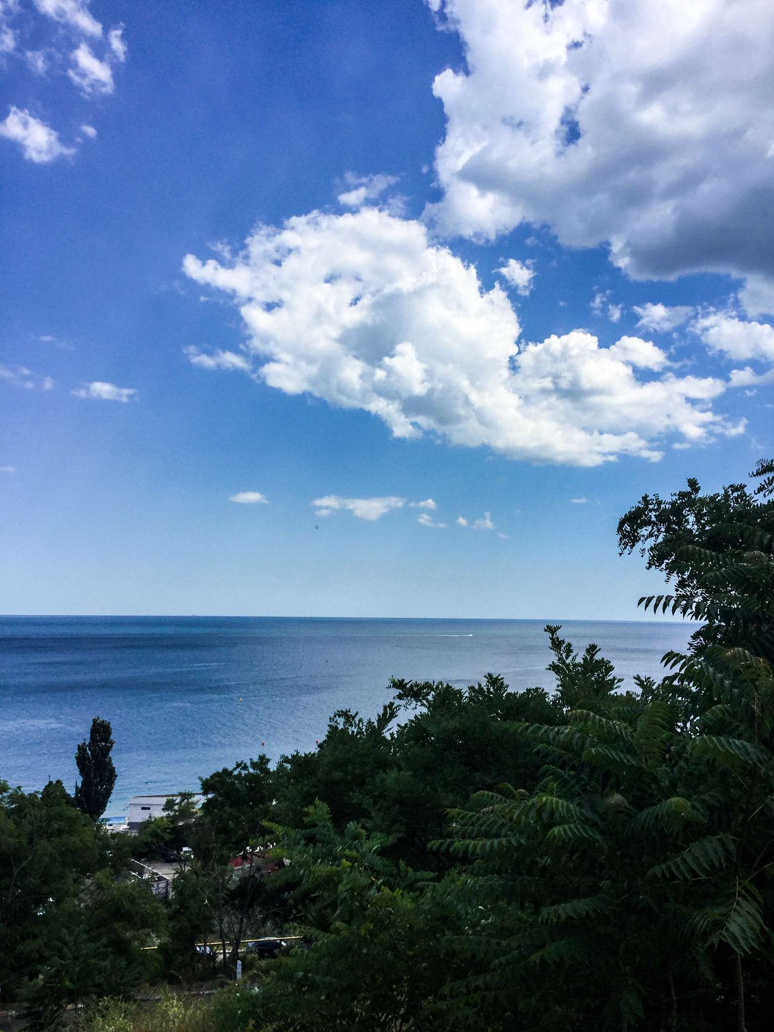 iPad Air 2 back camera 3.3mm f/2.4 sample photo