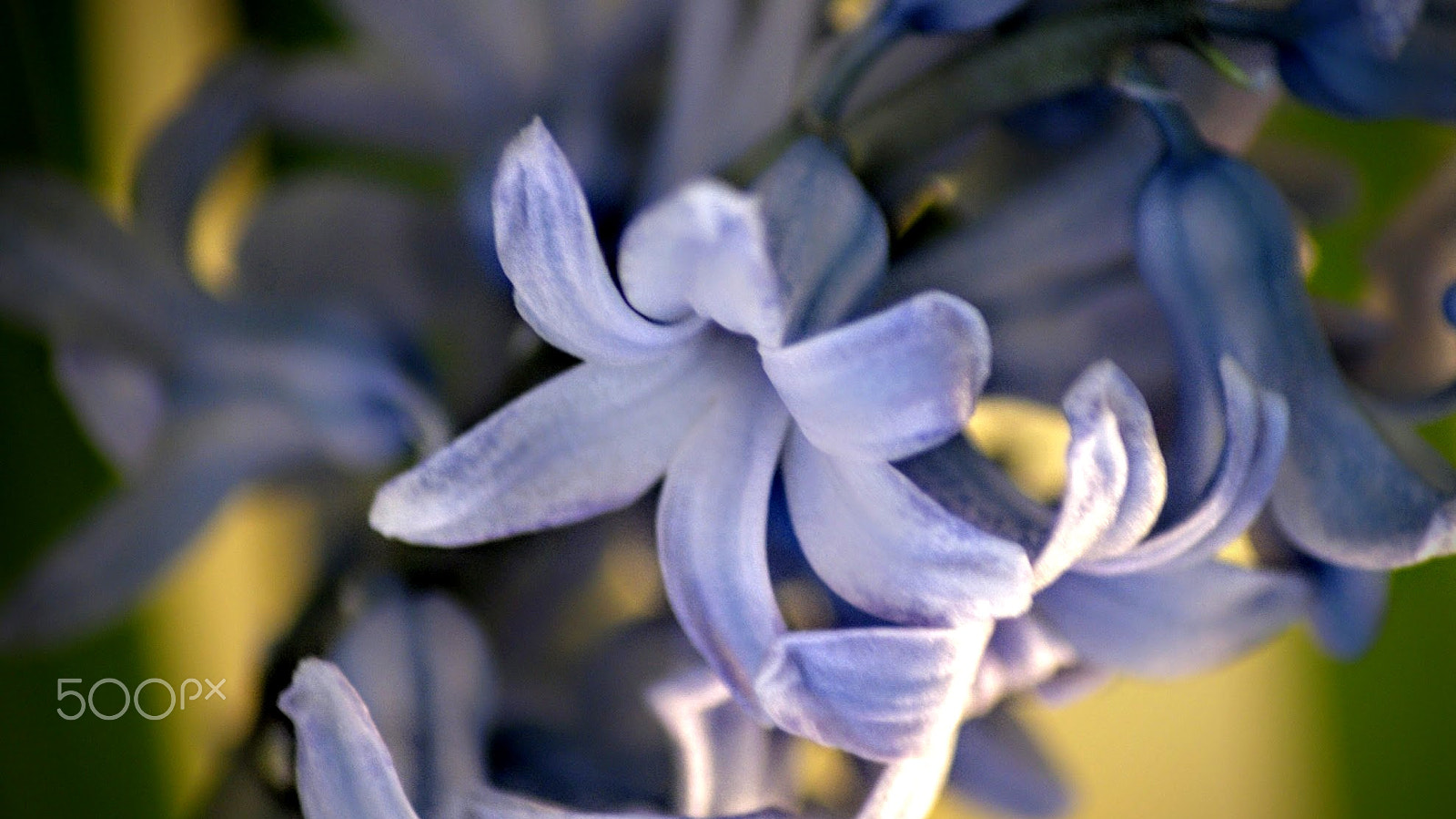 Sony Alpha DSLR-A200 + Tamron Lens (255) sample photo. Soft photography