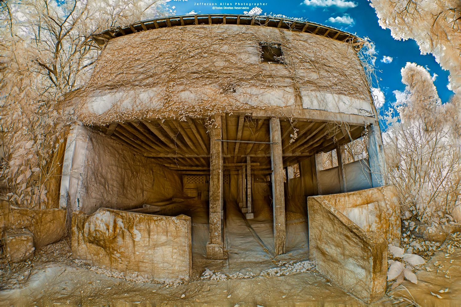 Canon EF 8-15mm F4L Fisheye USM sample photo. Infrared 720nm + 950nm photography