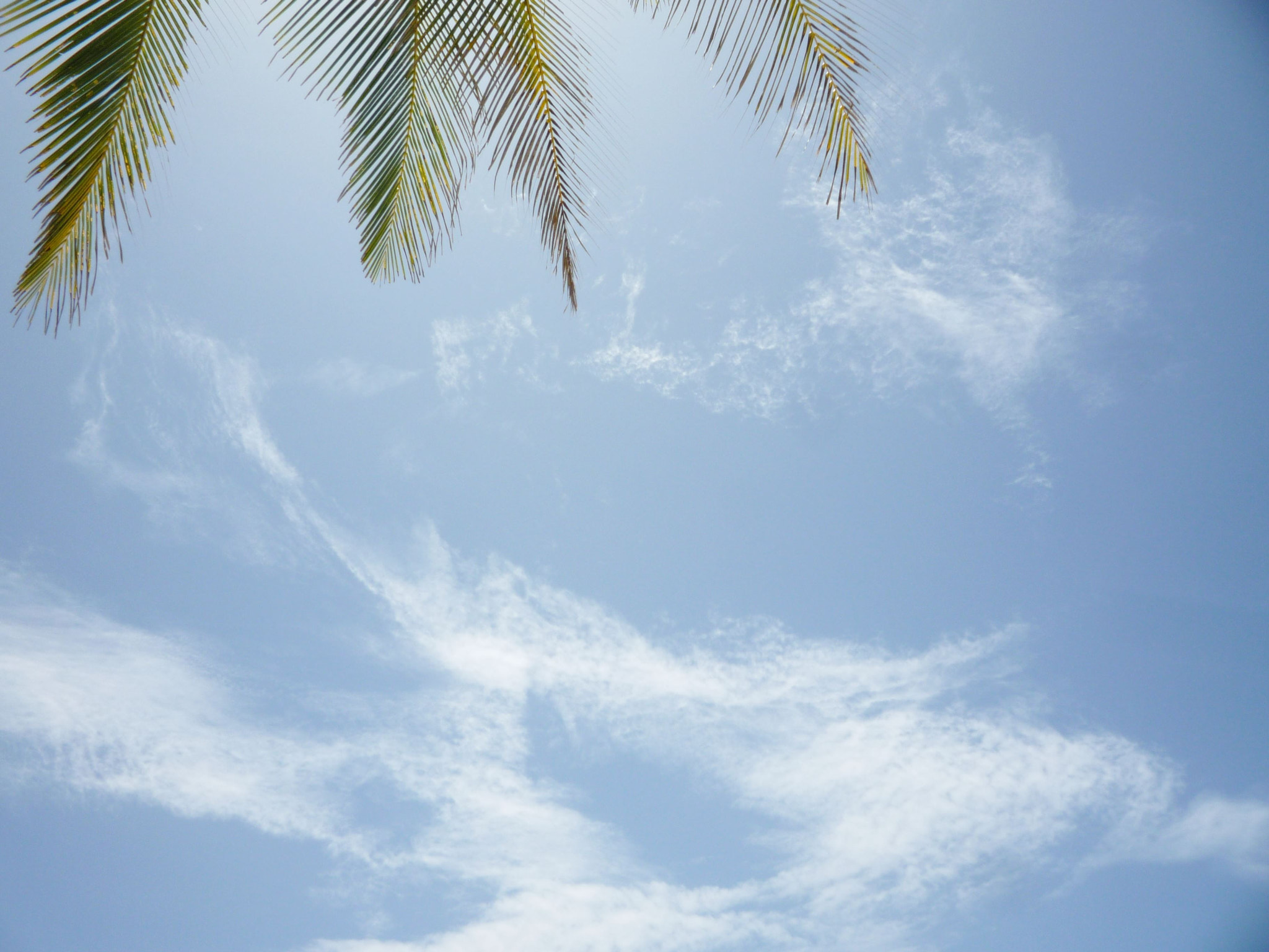 Panasonic DMC-LZ10 sample photo. Vacaciones isla de margarita photography