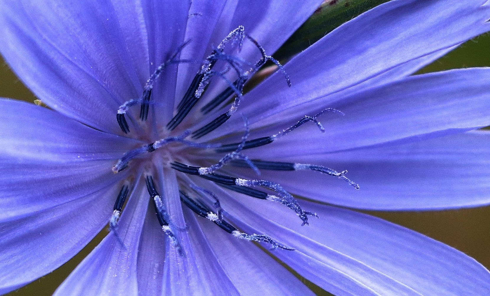 18.0 - 135.0 mm sample photo. Seducing photography