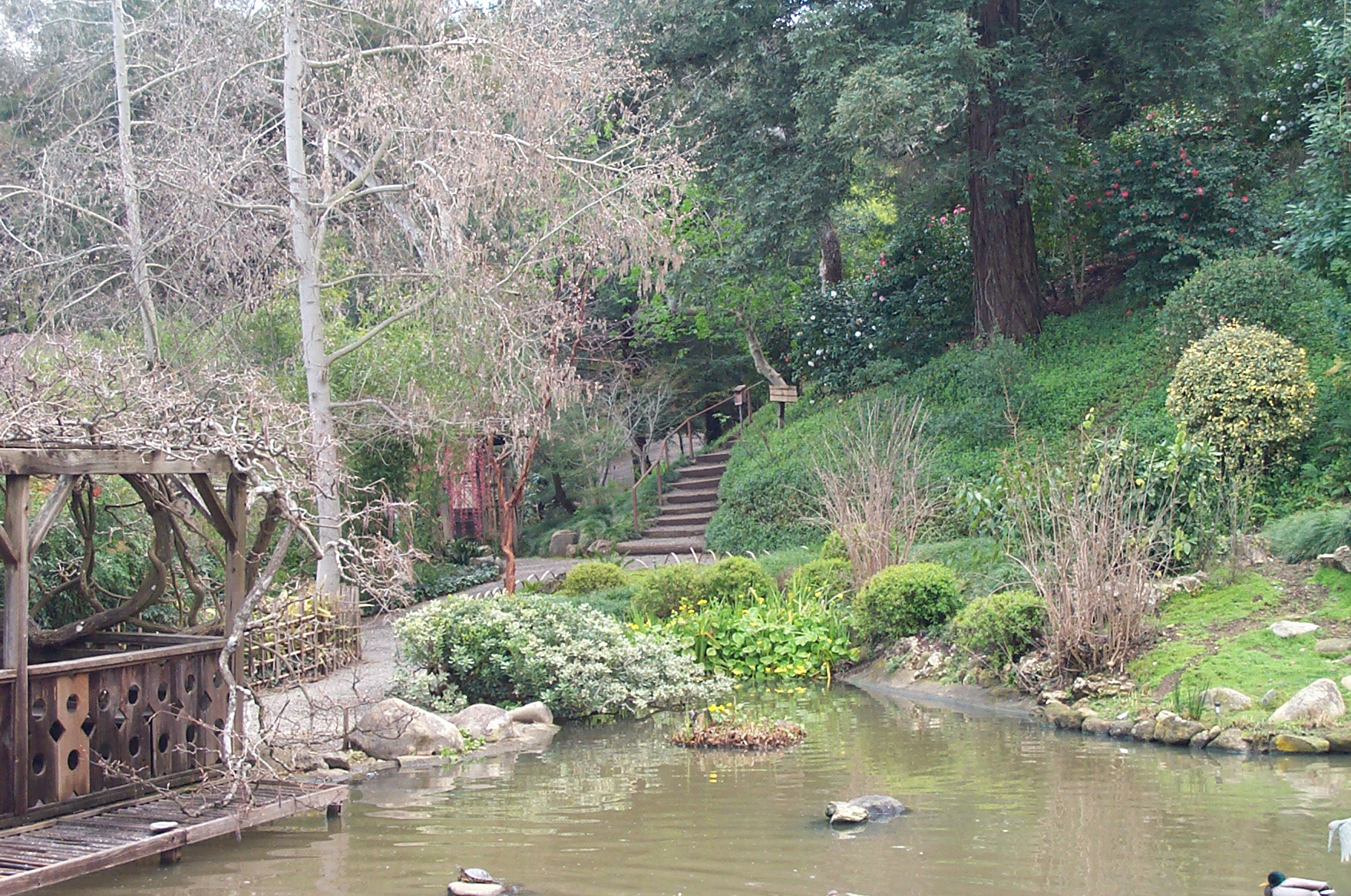 Kodak DC280 ZOOM DIGITAL CAMERA sample photo. Hakone gardens near san jose, california photography