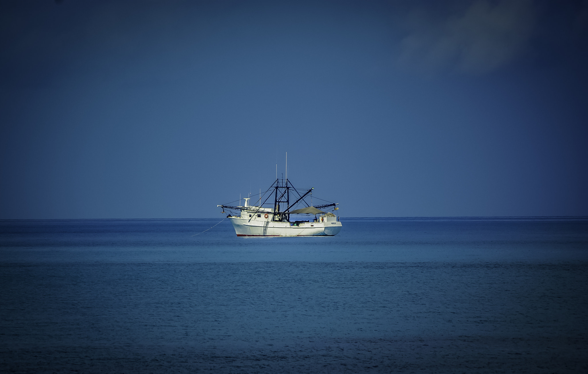 Pentax K10D + Pentax smc DA 50-200mm F4-5.6 ED sample photo. Shrimper photography