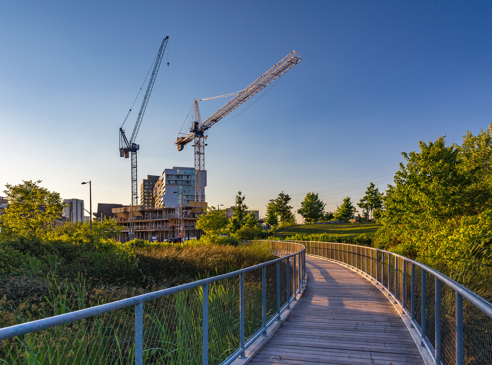 Canon EF 24mm f/1.4L sample photo. Corktown cranes photography