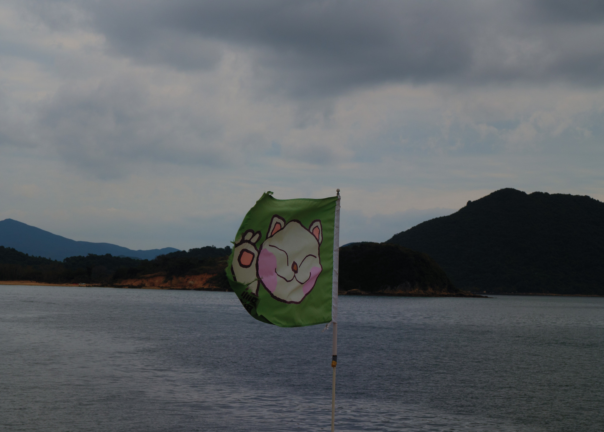 Panasonic Leica DG Nocticron 42.5mm F1.2 ASPH OIS sample photo. Smiling cat photography