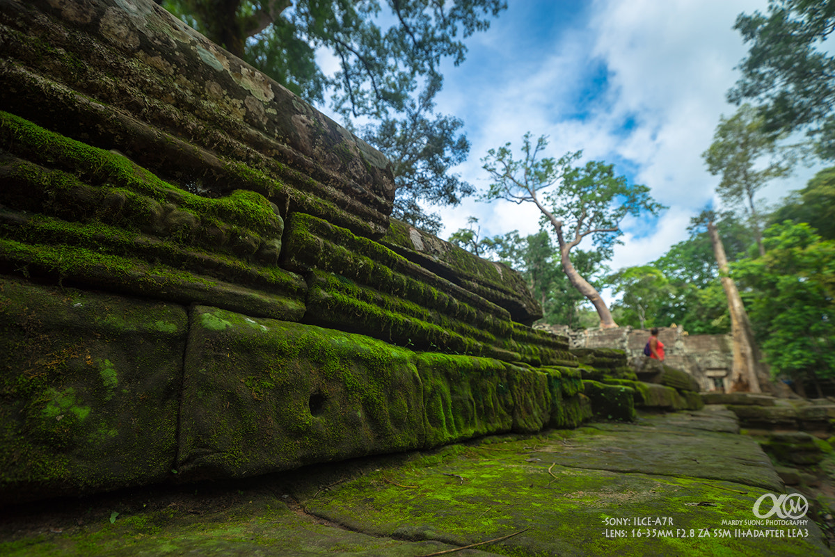 Sony Vario-Sonnar T* 16-35mm F2.8 ZA SSM II sample photo. Nature and temple! photography