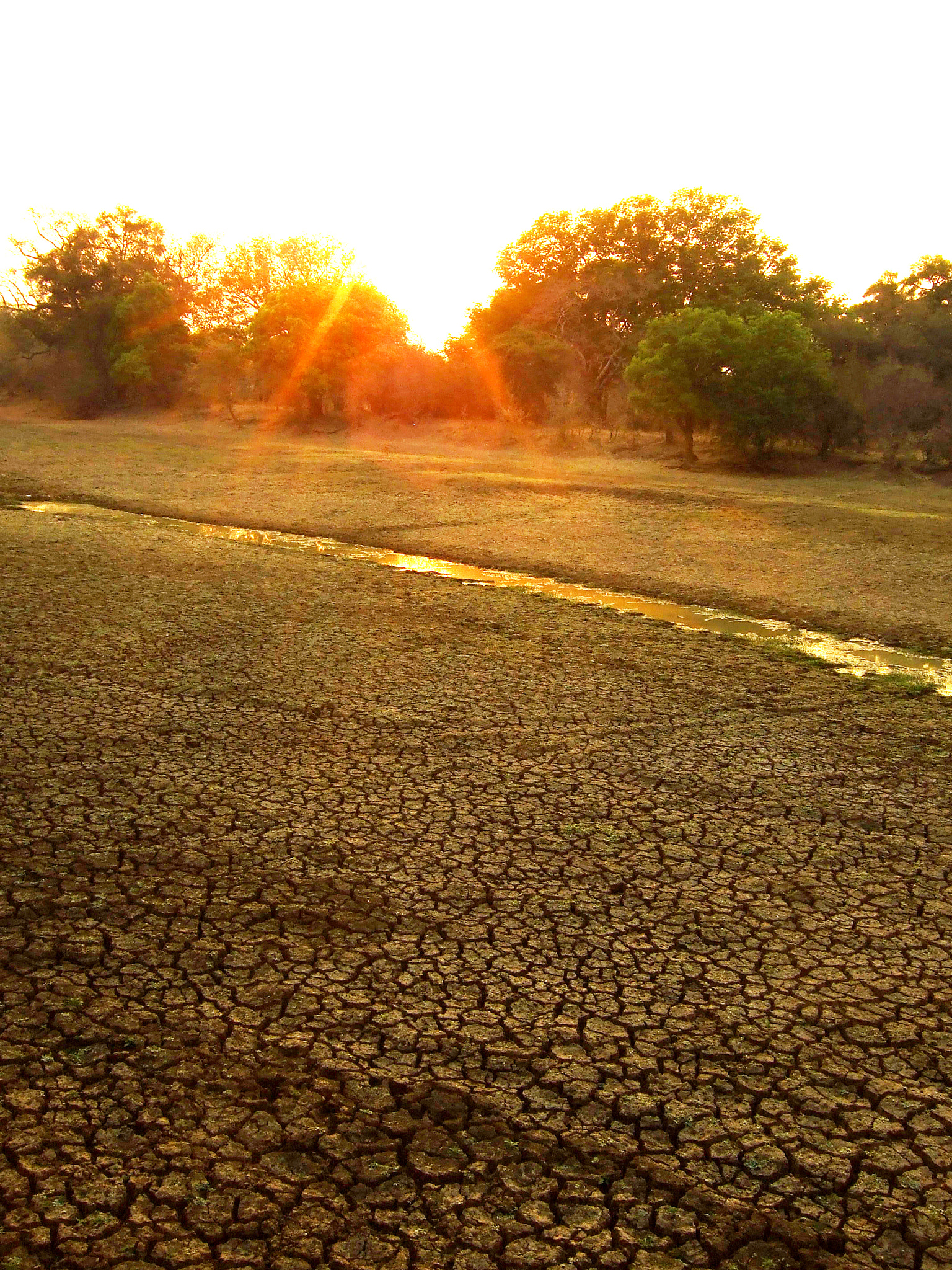 Fujifilm FinePix F20 sample photo. Golden african sunset photography