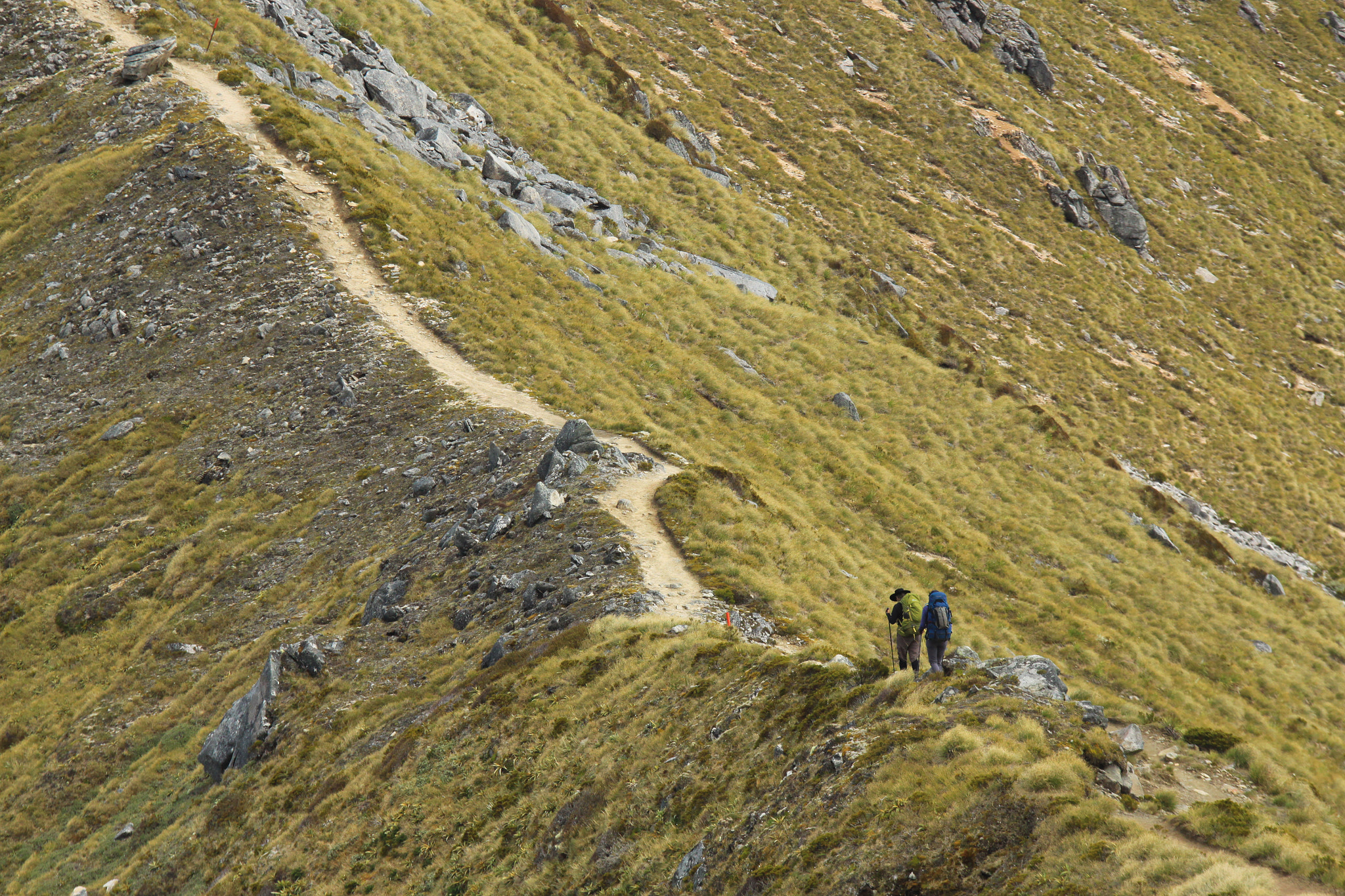 Sigma 70-200mm F2.8 EX DG OS HSM sample photo. The path in front of you photography