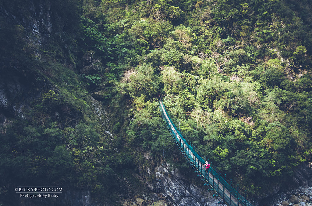 Pentax K-5 IIs sample photo. Zhuilu old trail photography