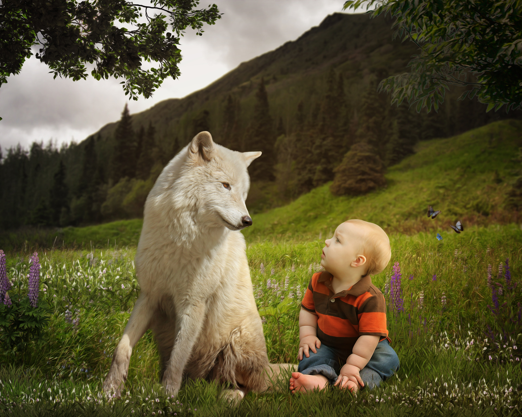 Olympus E-520 (EVOLT E-520) + Sigma 55-200mm F4-5.6 DC sample photo. A boy and his wolf photography