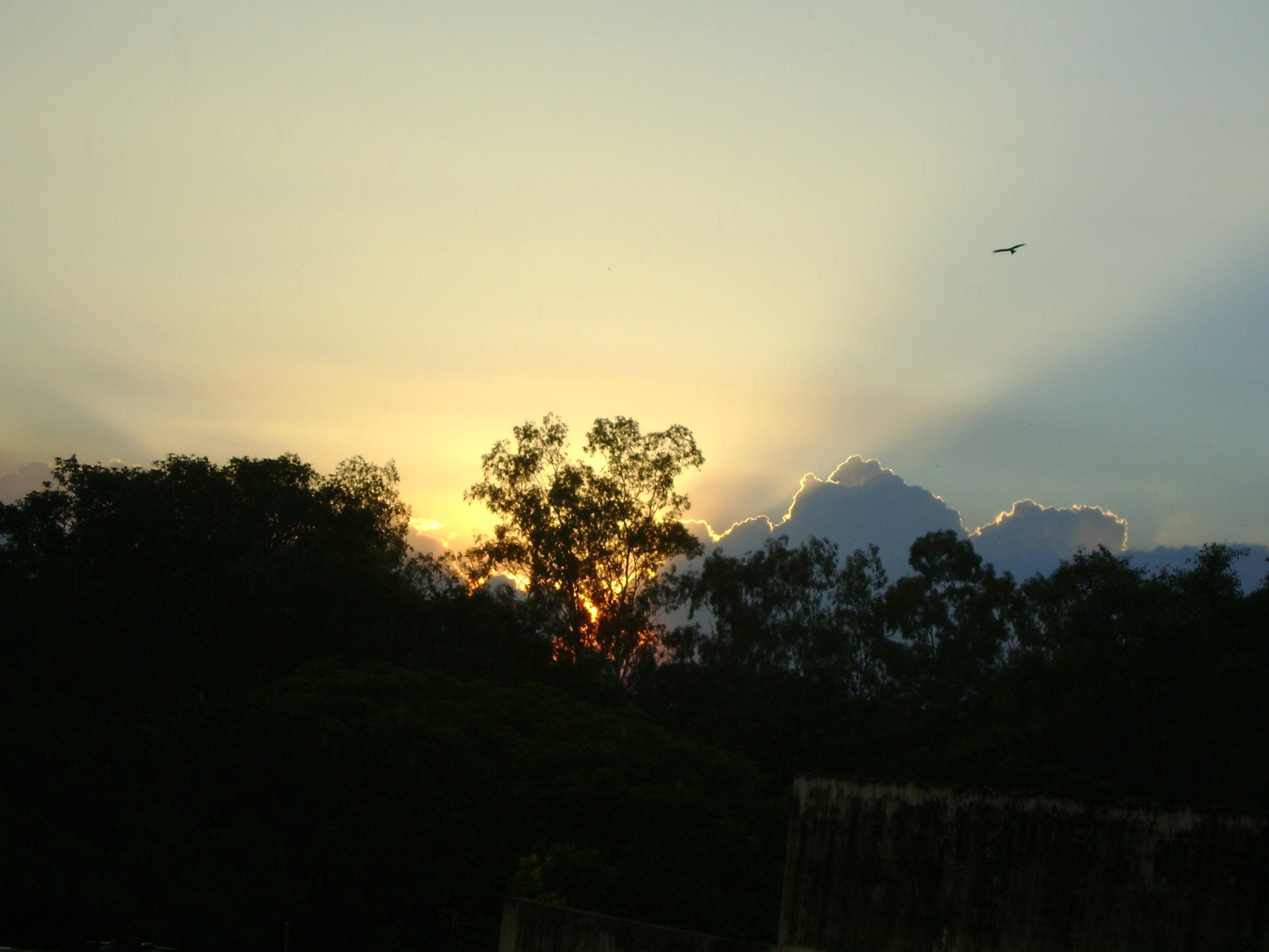 Sony DSC-S730 sample photo. The cloud has a silver lining  photography