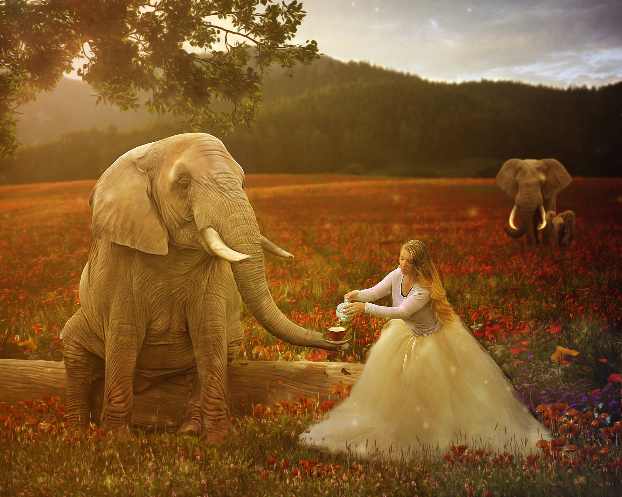 Sigma 70-200mm F2.8 EX DG Macro HSM II sample photo. Tea with elephants photography