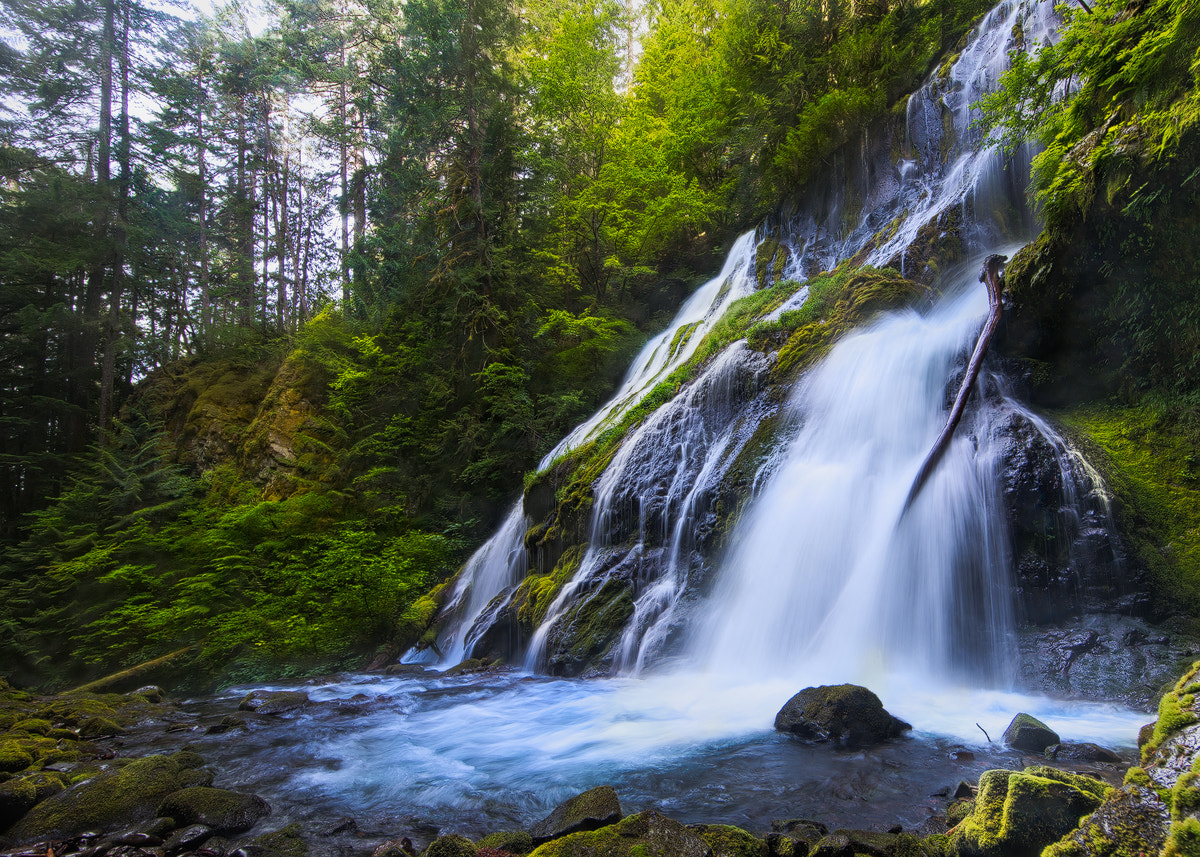 Sony a7R II + Canon EF 14mm F2.8L II USM sample photo. Down under panther creek photography