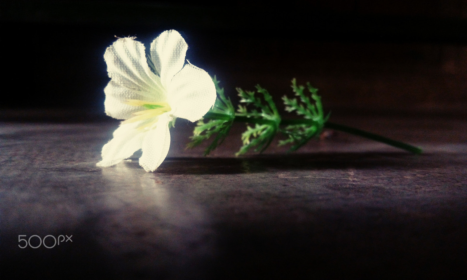 HTC DESIRE 820G PLUS DUAL SIM sample photo. Artifial flower photography