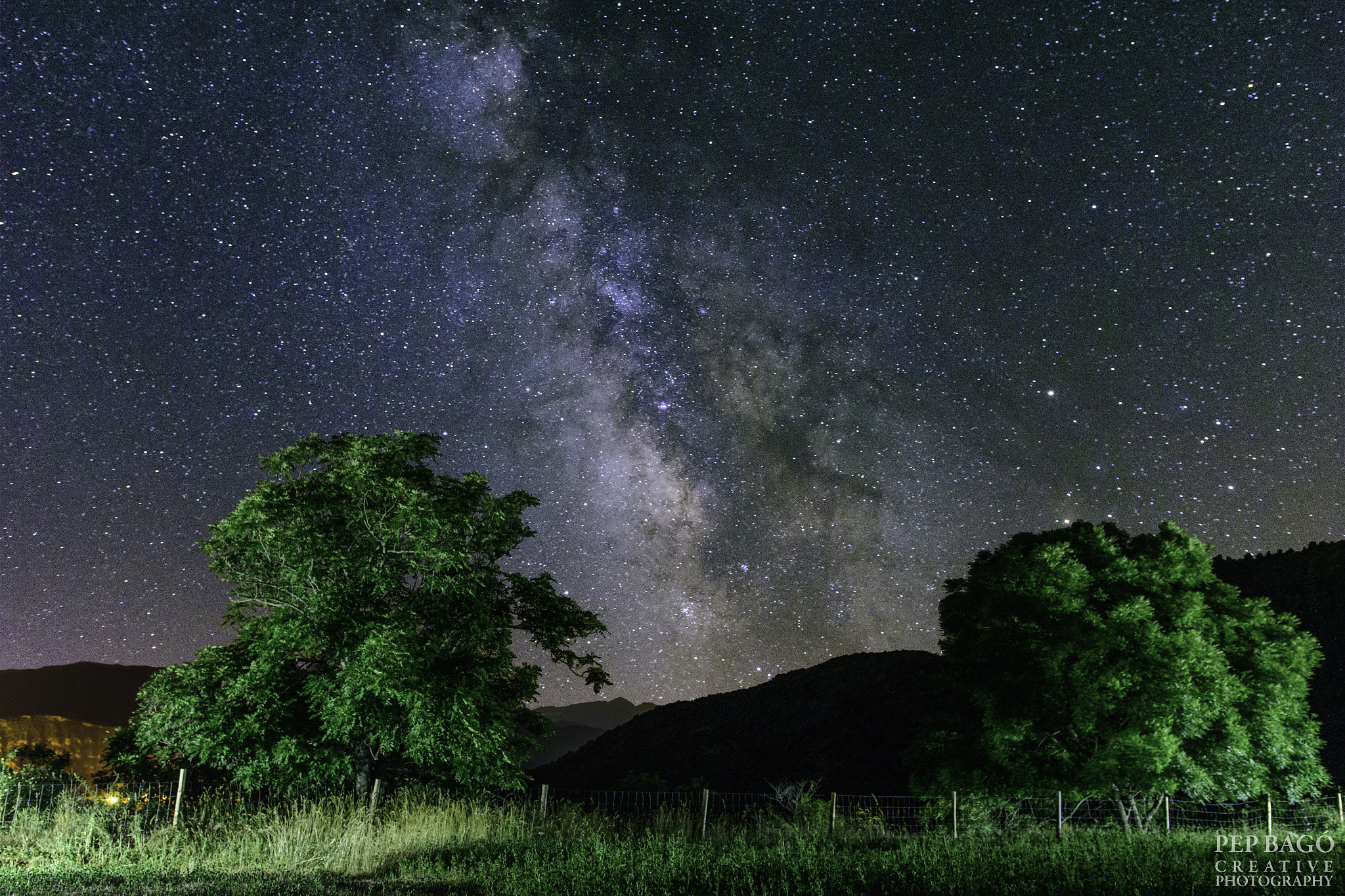 Nikon D5200 + Sigma 18-35mm F1.8 DC HSM Art sample photo. Field trees (ii) photography