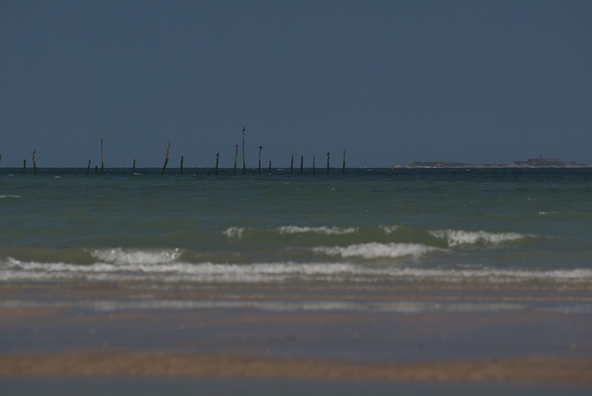 Canon EOS-1D sample photo. Scene at the beach photography