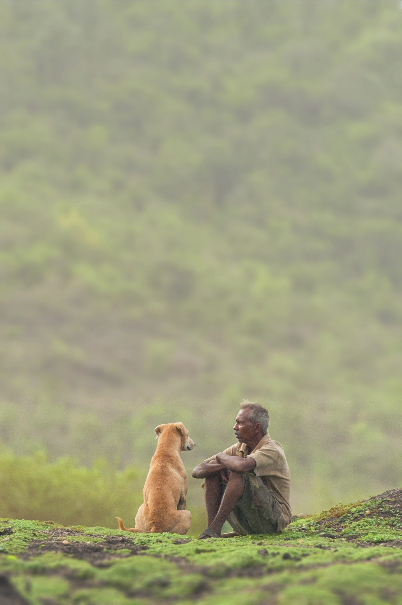Nikon D90 + Nikon AF-S Nikkor 300mm F4D ED-IF sample photo. Nature talk !  photography