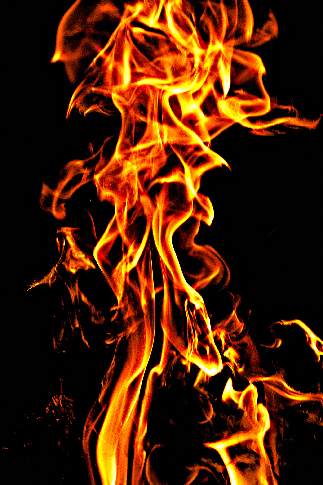 Canon EOS 5D Mark II + Tamron SP AF 90mm F2.8 Di Macro sample photo. Summer flames photography