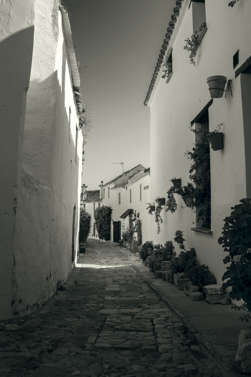 Canon EF-S 18-55mm F3.5-5.6 II sample photo. Street of castellar photography