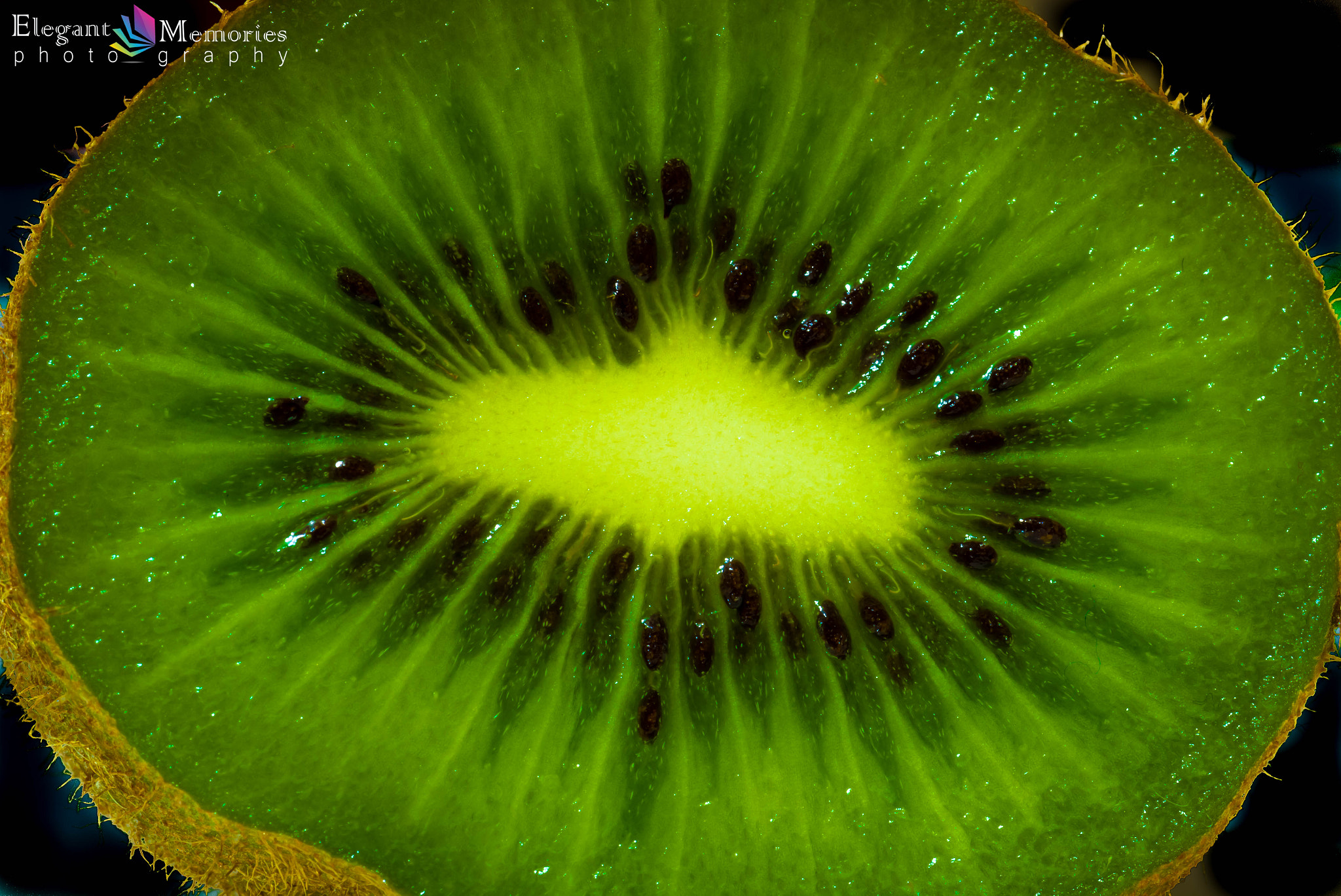 Canon EF 180mm F3.5L Macro USM sample photo. Kiwi photography