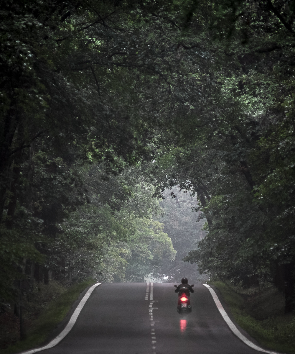 Minolta AF 80-200mm F2.8 HS-APO G sample photo. Rider photography