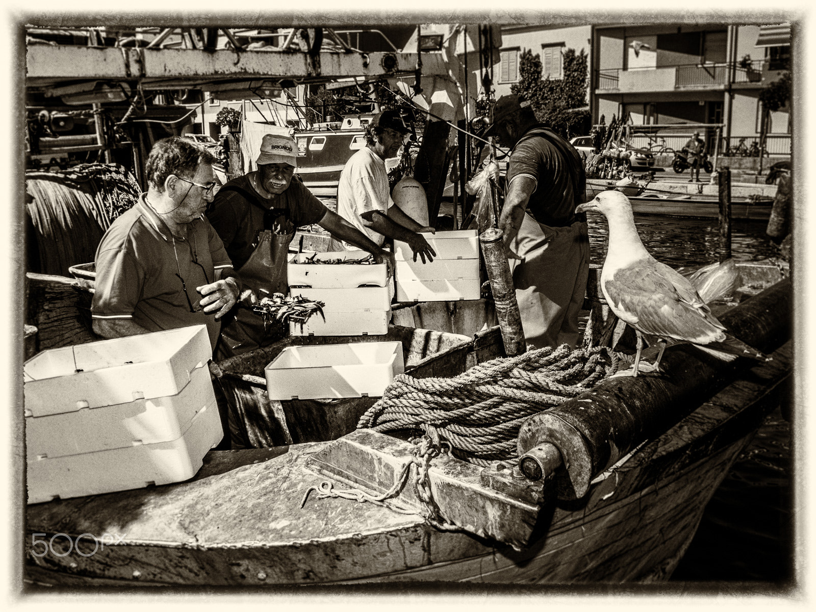 Olympus OM-D E-M10 sample photo. Grado fishermen with seagull photography