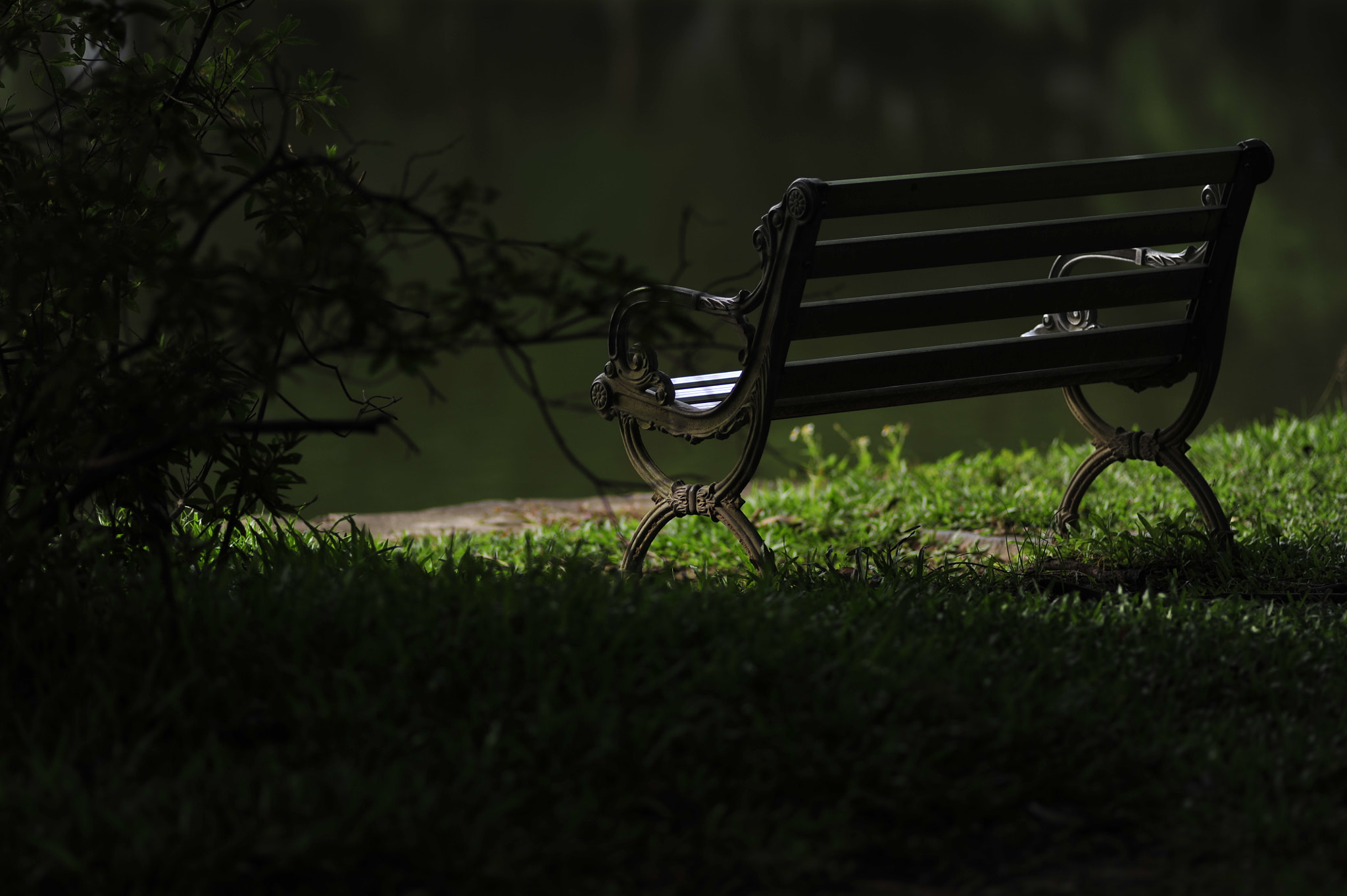 Nikon D3 + Nikon AF Nikkor 180mm F2.8D ED-IF sample photo. .. photography