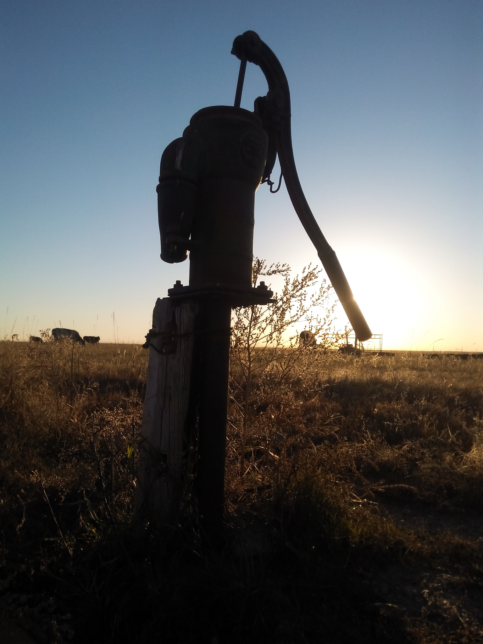 vivo X3t sample photo. Line of sun photography