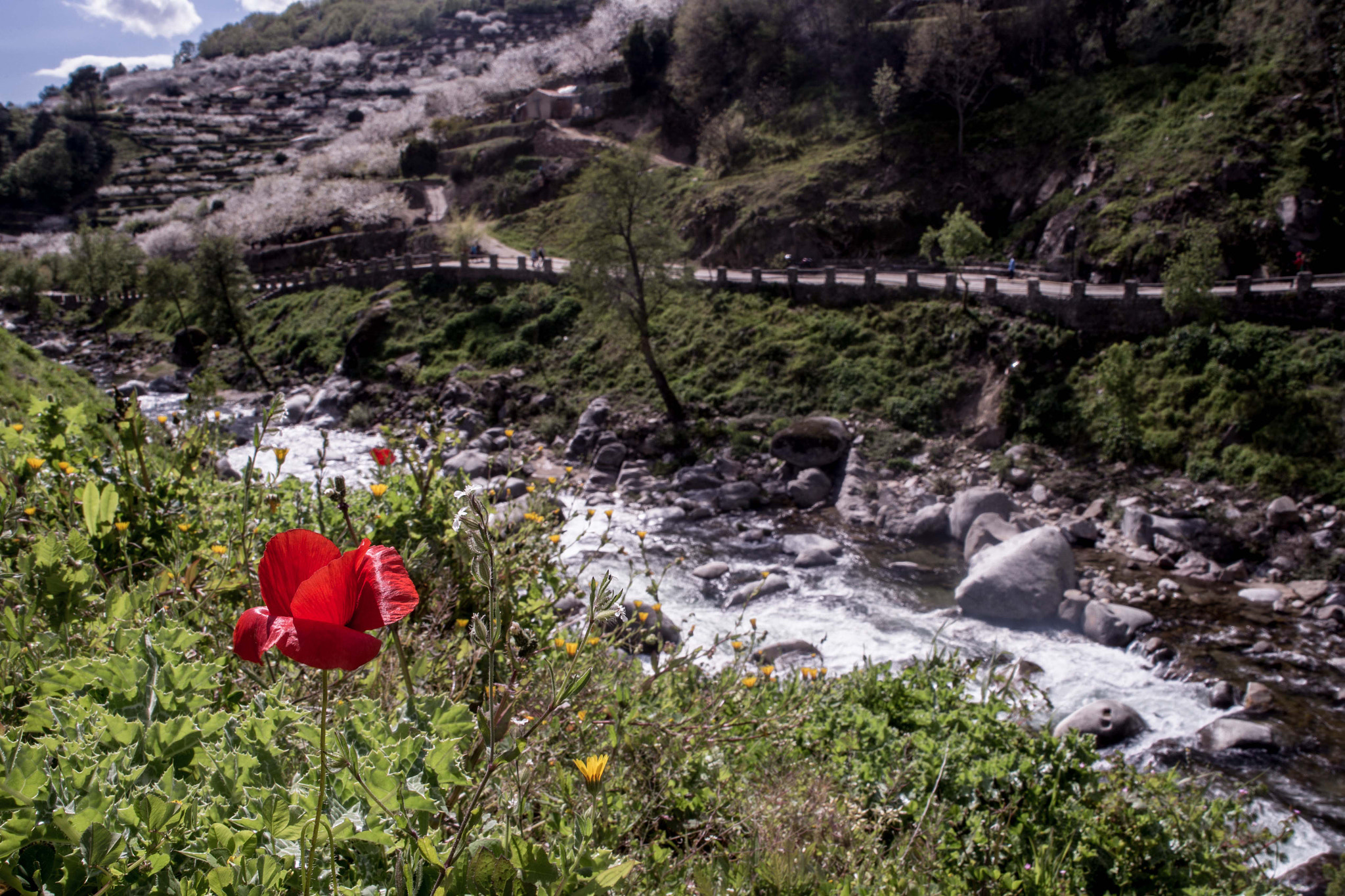 Canon EOS 6D + Canon EF 28-80mm f/3.5-5.6 USM sample photo. Valle del jerte photography