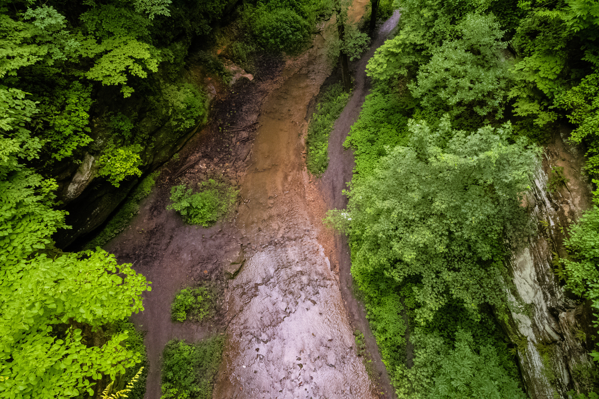 Nikon D500 sample photo. Summer creek photography