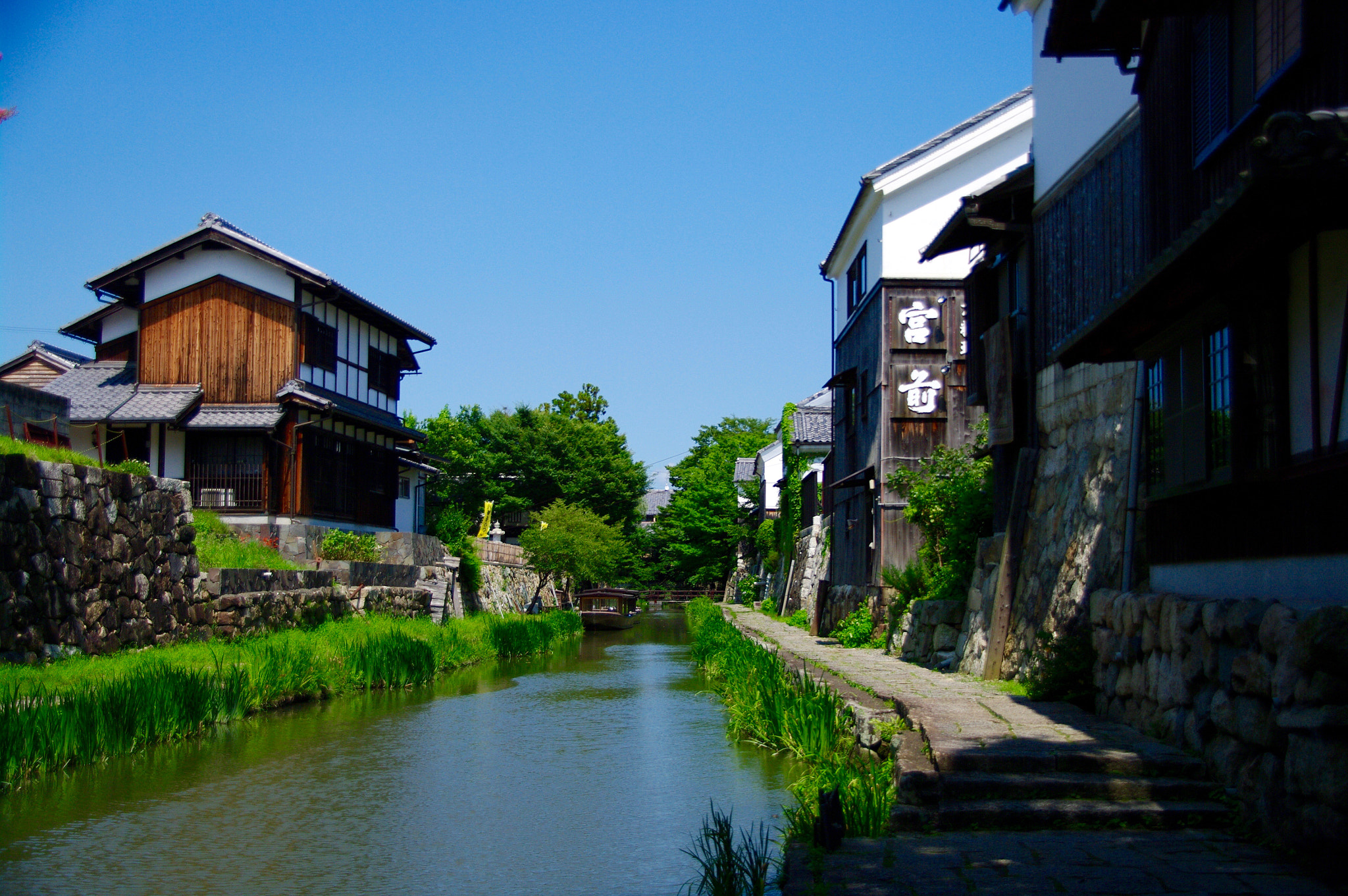 Pentax K20D sample photo. Summer photography