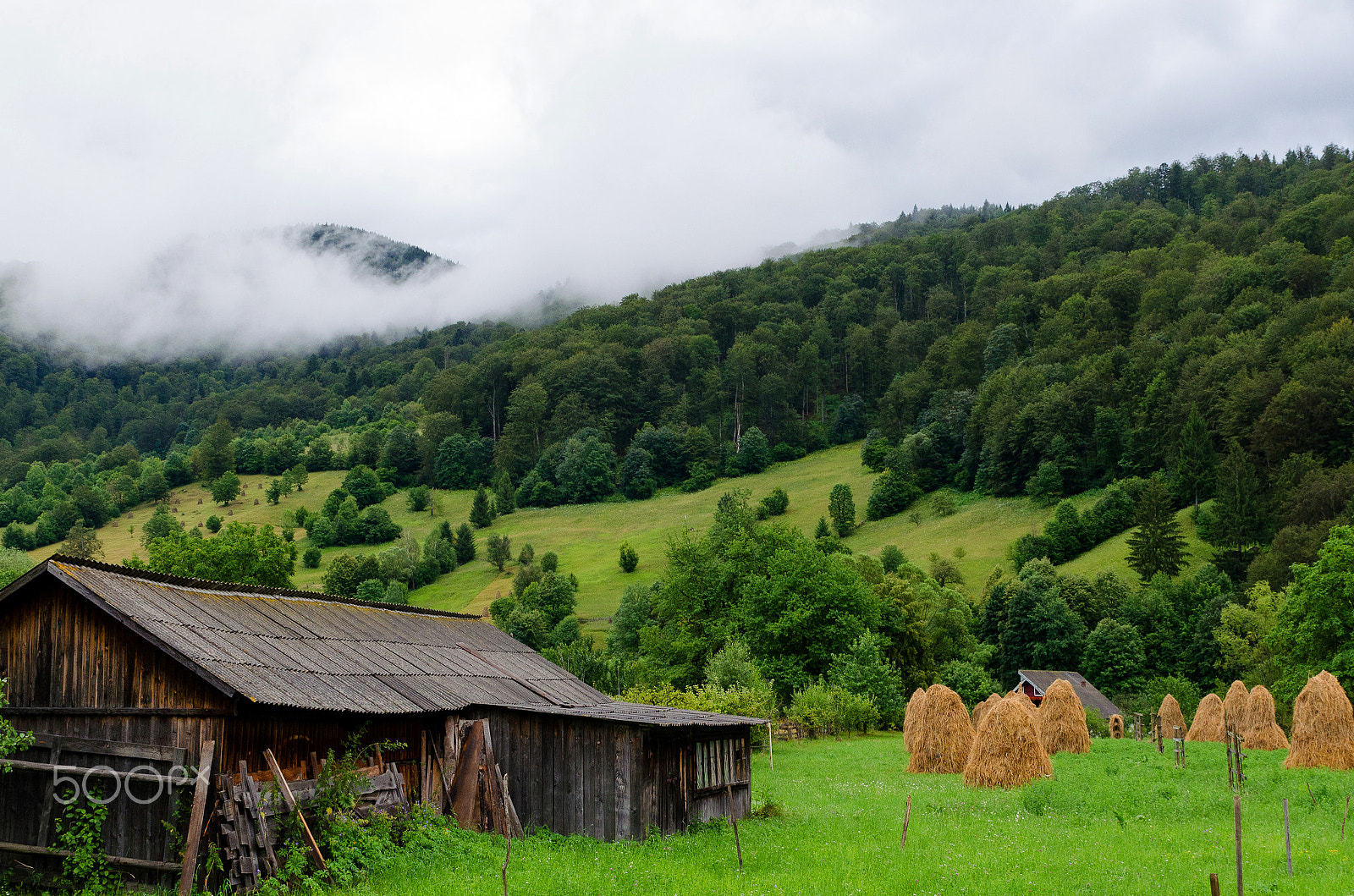 Tamron SP 24-70mm F2.8 Di VC USD sample photo. Fog blanket photography