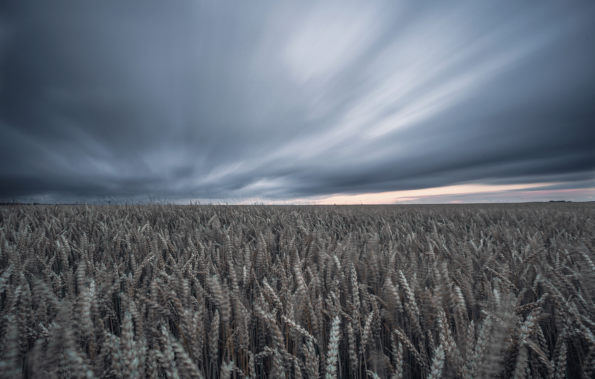 Voigtlander Color Skopar 20mm f/3.5 SLII Aspherical sample photo. Wheat tales #2 photography