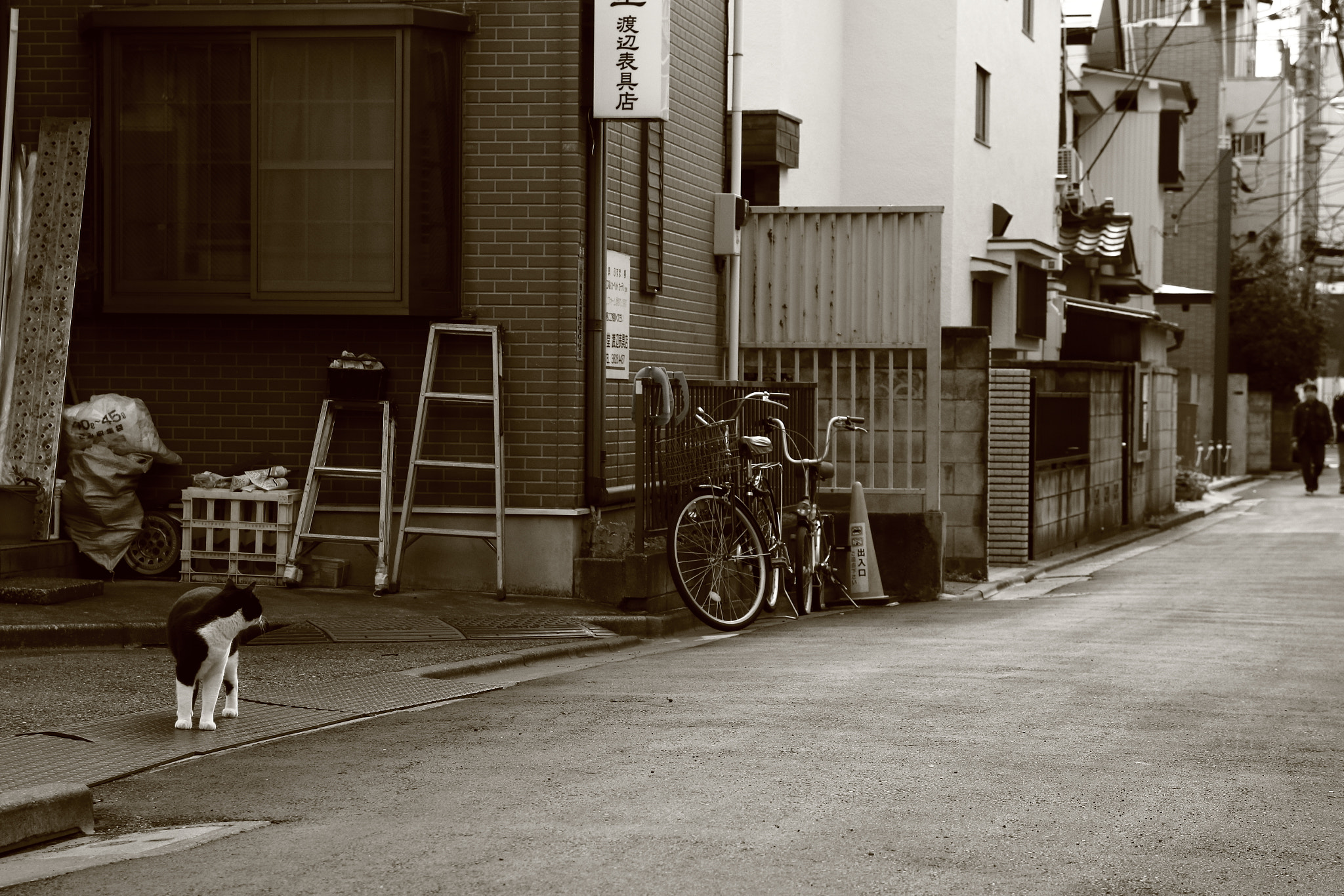 Tamron SP AF 17-50mm F2.8 XR Di II LD Aspherical (IF) sample photo. Shitamachi (the name for traditional areas of .jpg photography