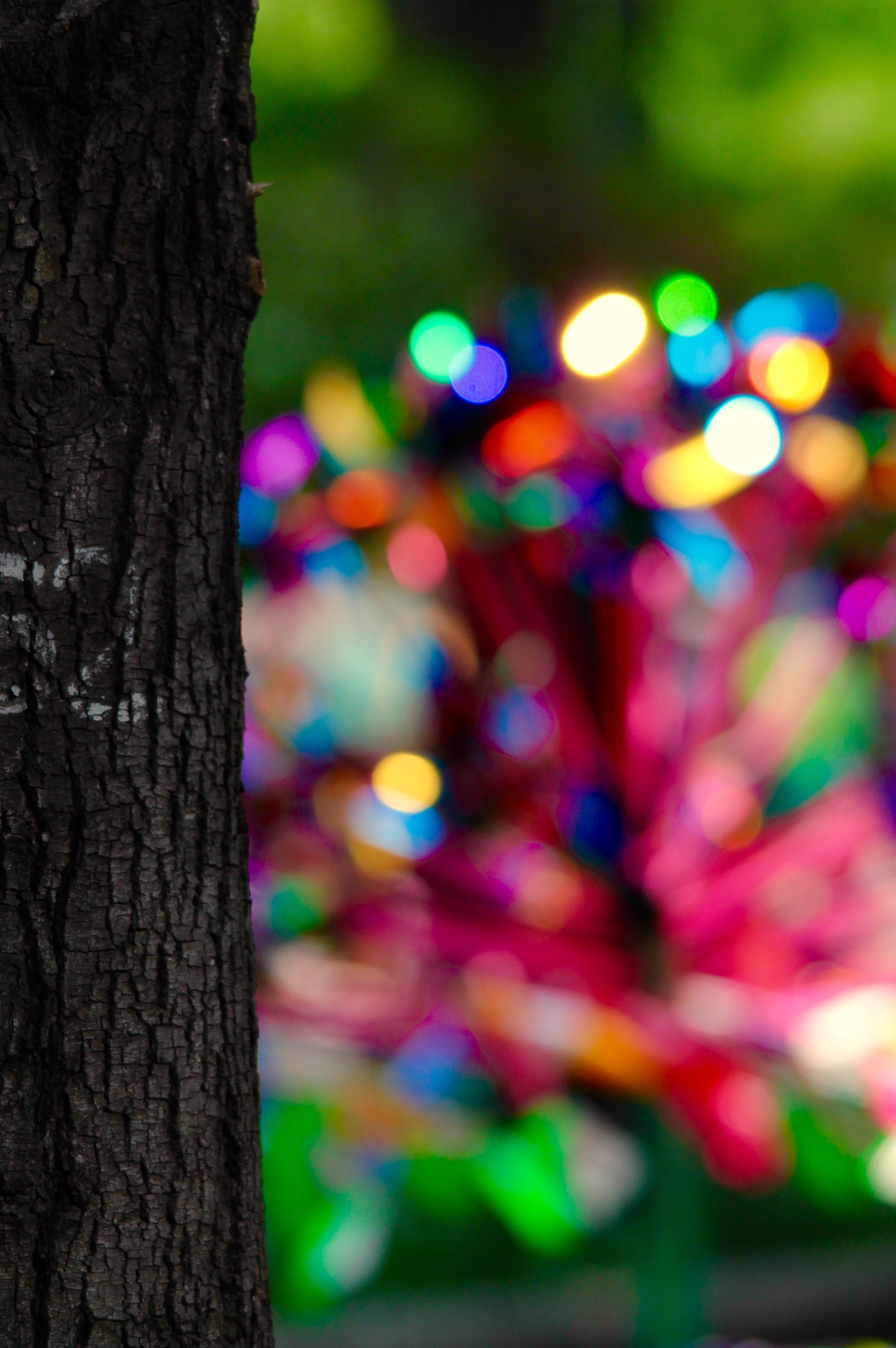 Canon 150-500mm sample photo. Tintillating colors photography
