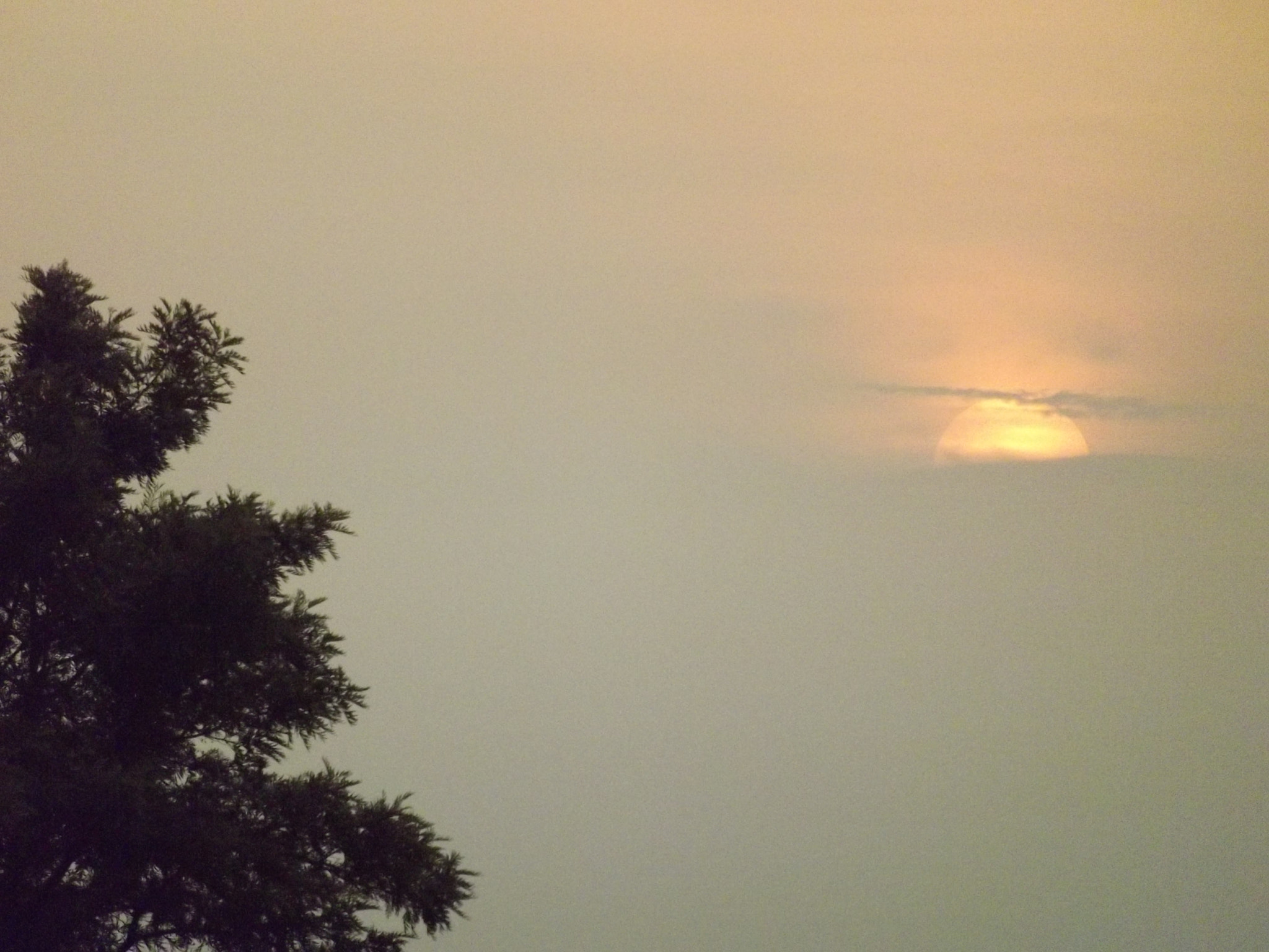 Fujifilm FinePix S3300 sample photo. Tree#clouds#sun.... photography