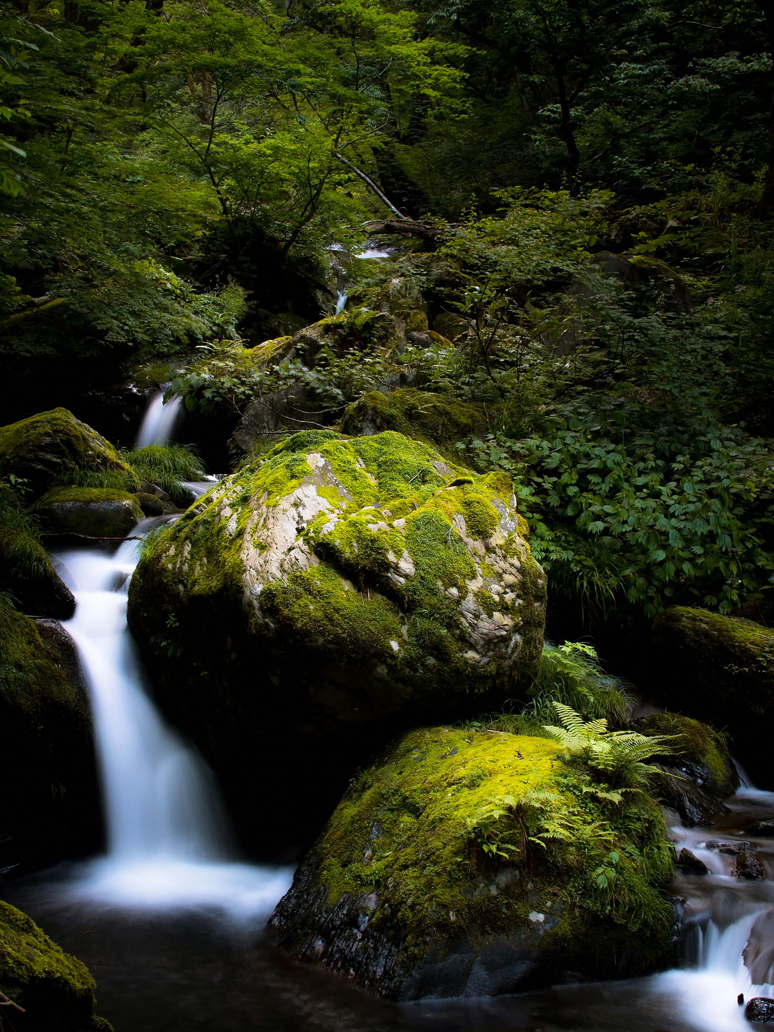 Sigma 30mm F1.4 EX DC HSM sample photo. Waterfall_20160718_2 photography