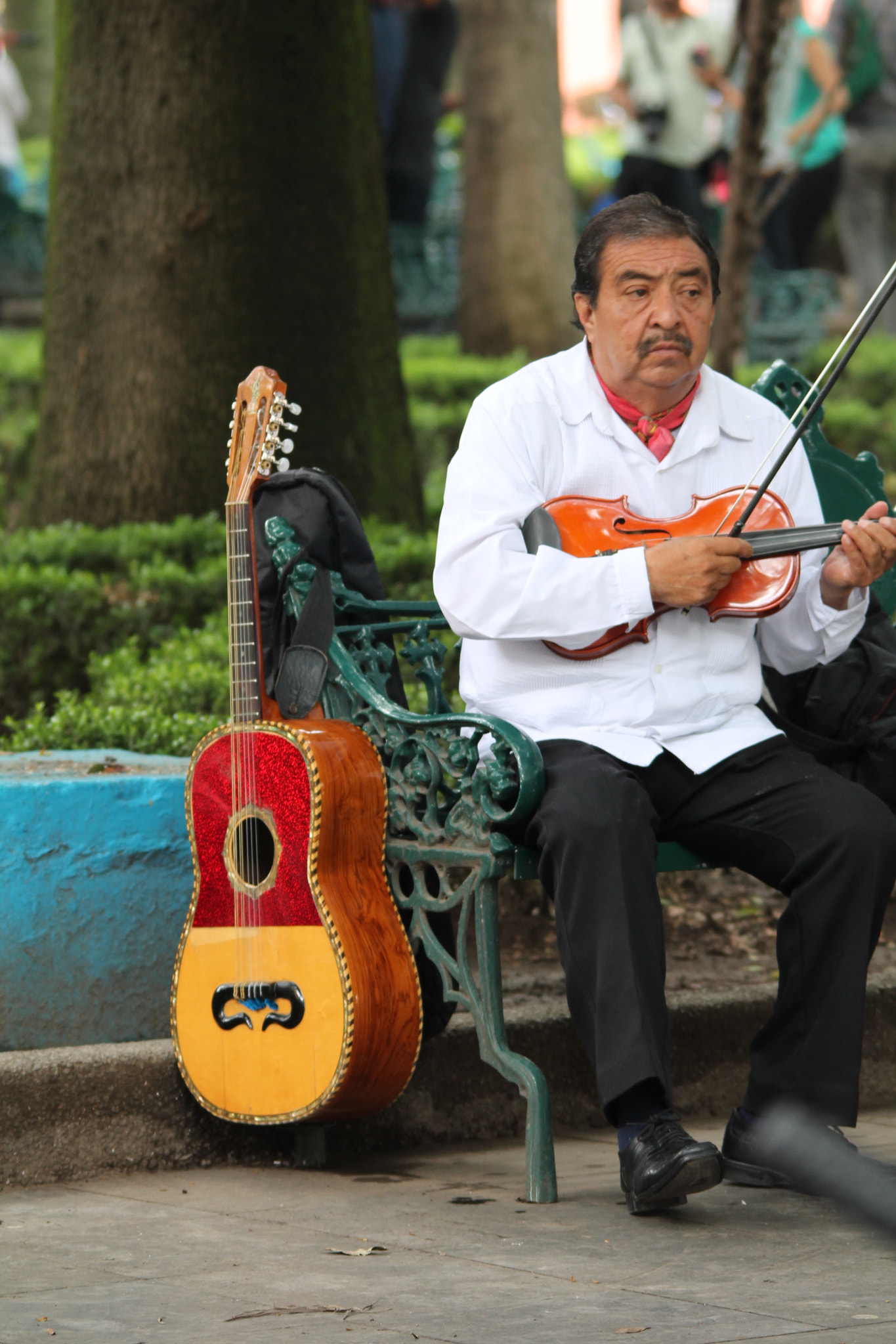 Sigma 150-500mm F5-6.3 DG OS HSM sample photo. Musician in the bench photography