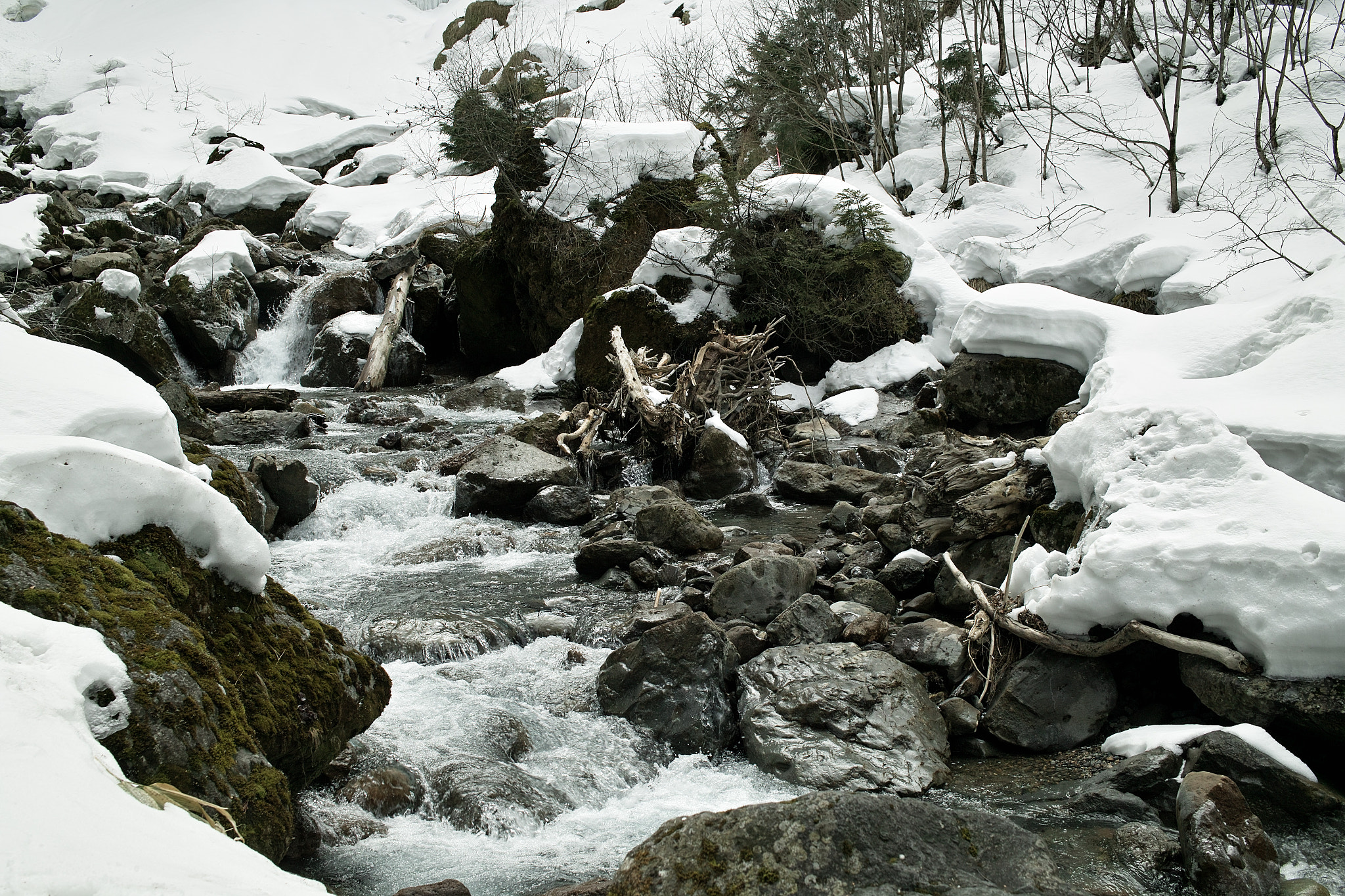 Sigma DP2x sample photo. 清流と雪　clear streams and snow photography