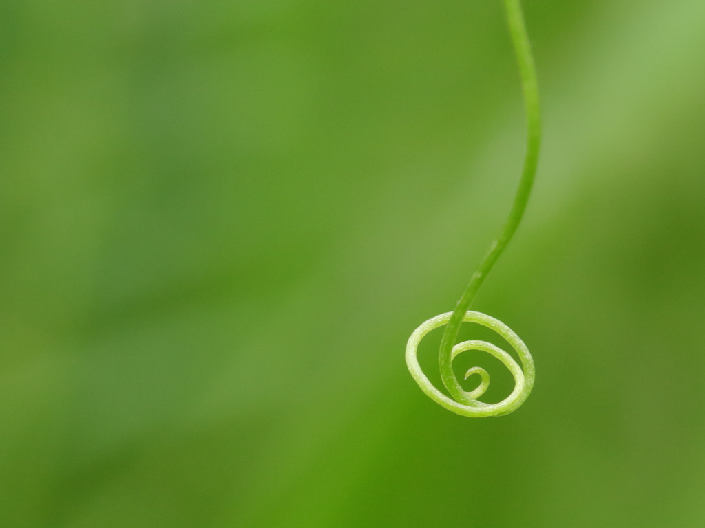 Circles of life. by Sebastiaan De Cleene on 500px.com