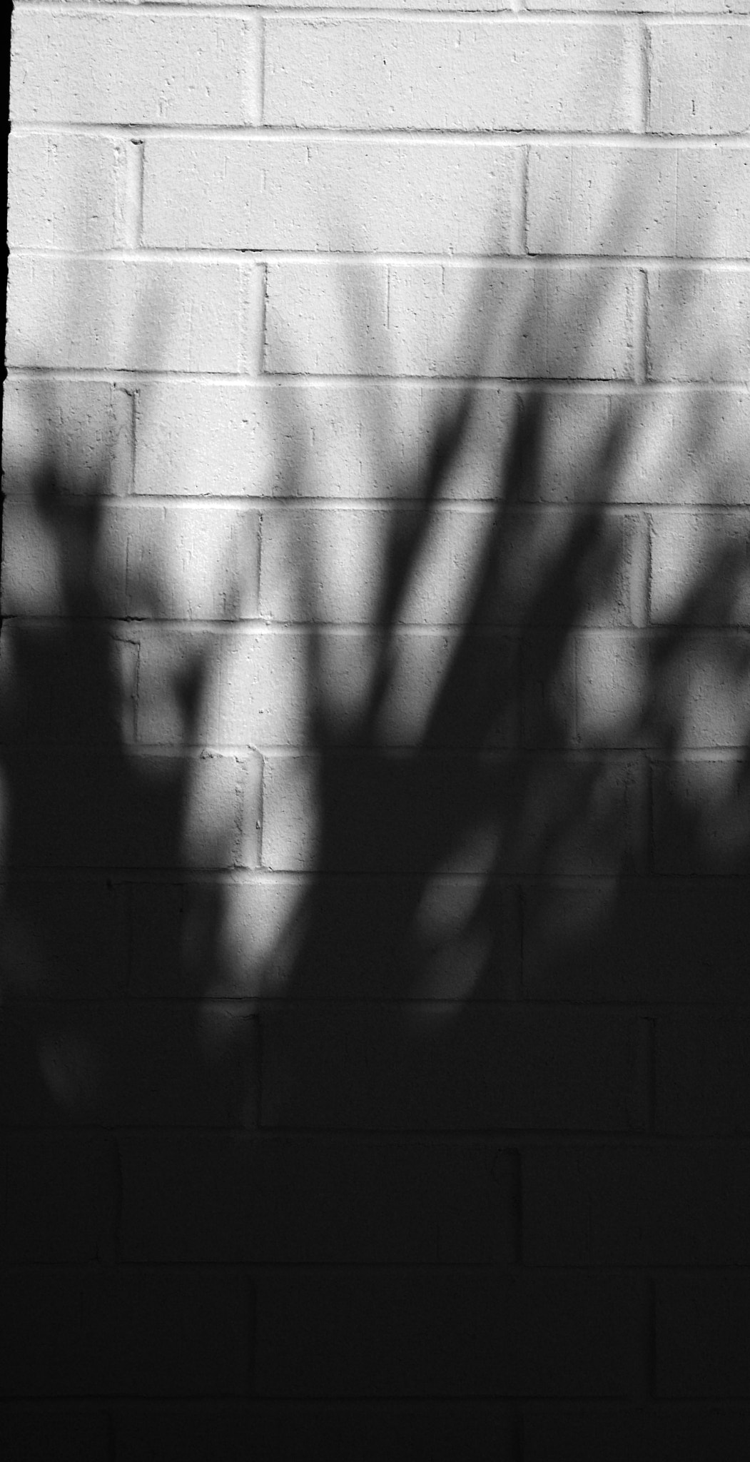 Tri-Elmar-M 1:4/28-35-50 ASPH. sample photo. "wall shadow no.4" photography