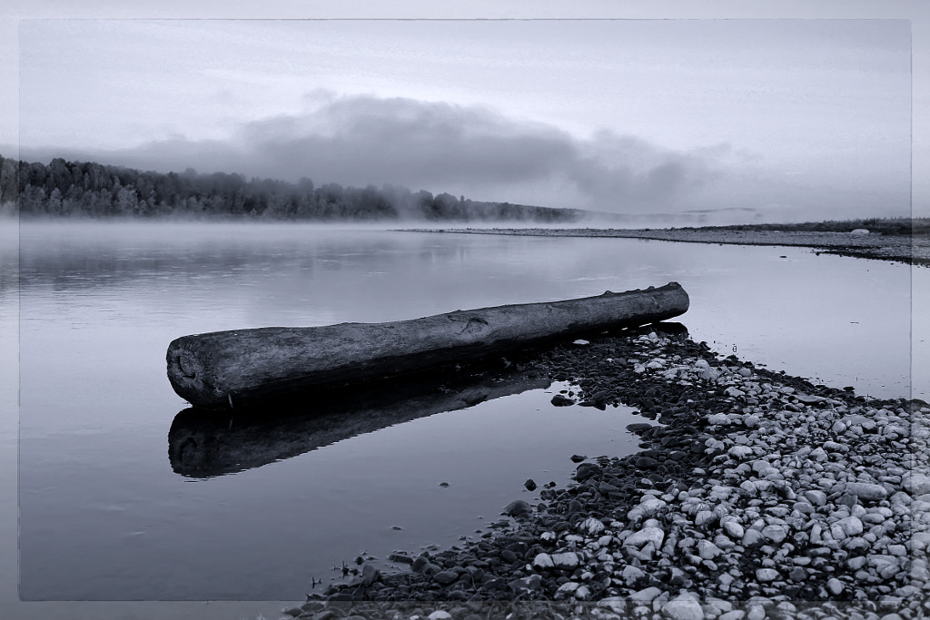 timber on the river bank b&w by Nick Patrin on 500px.com